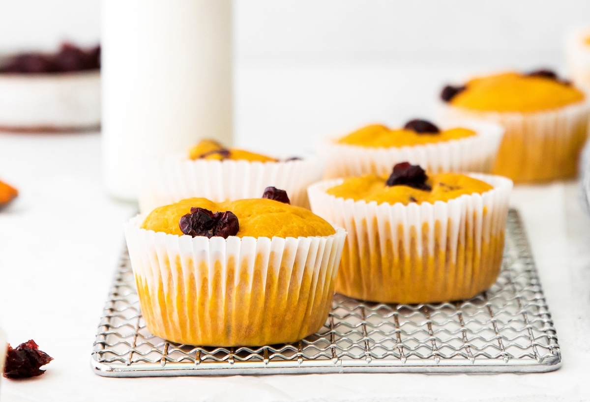 pumpkin cranberry muffin recipe