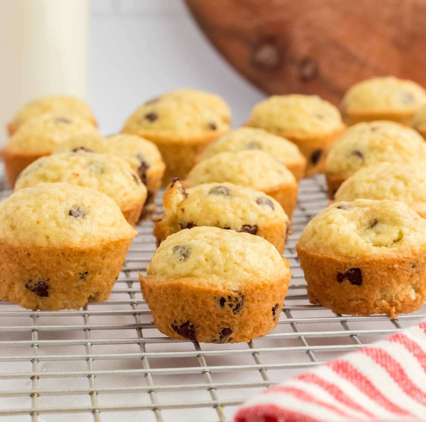 choc chip mini muffins