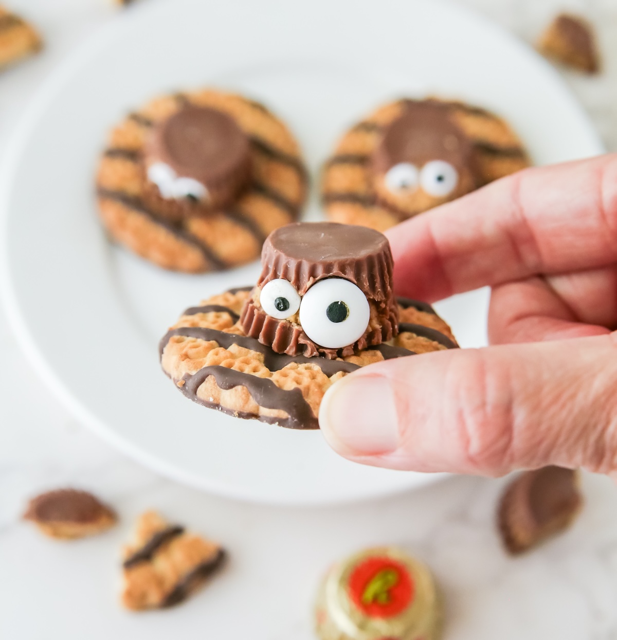 hand holding a spider cookie