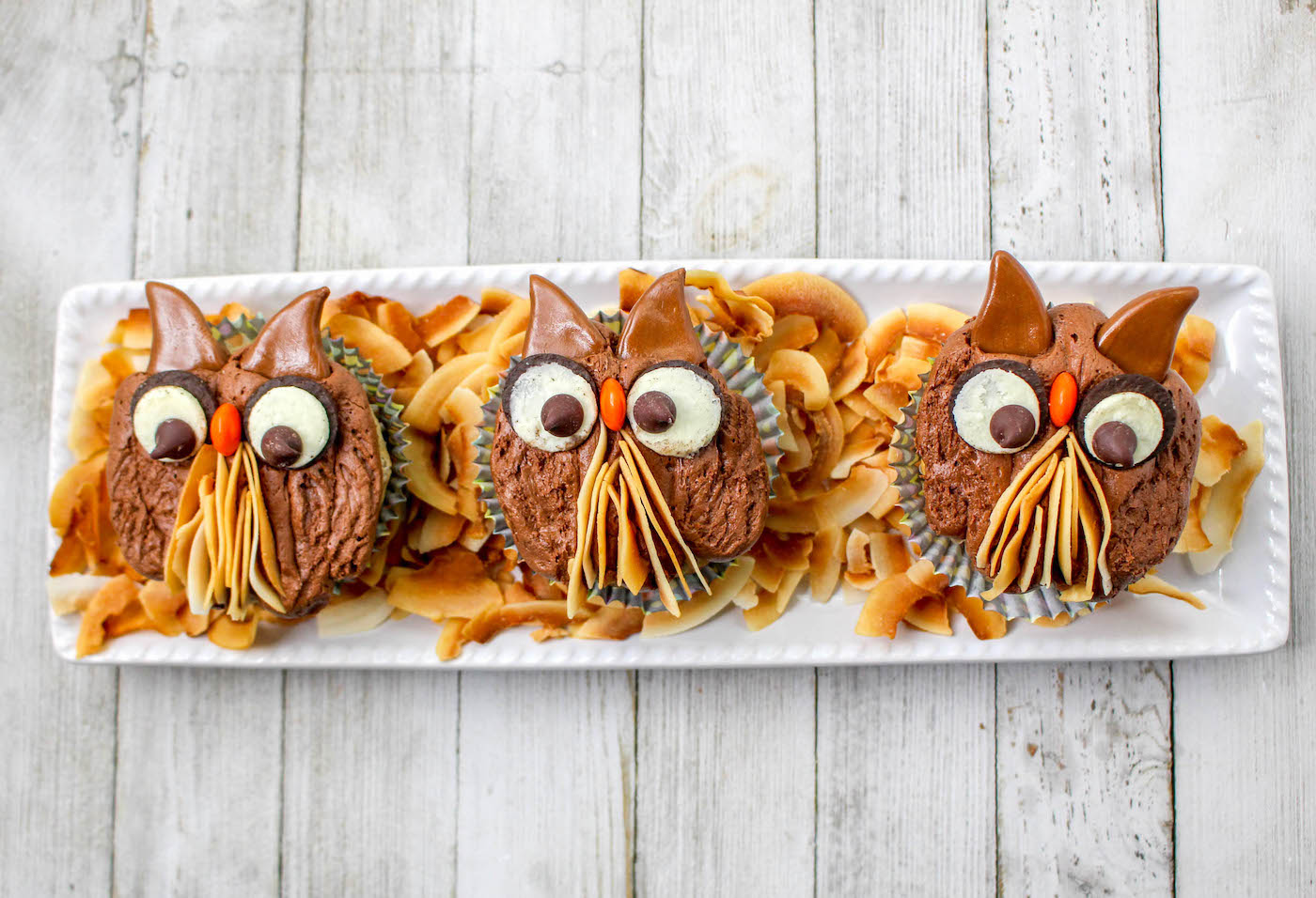 owl cupcakes