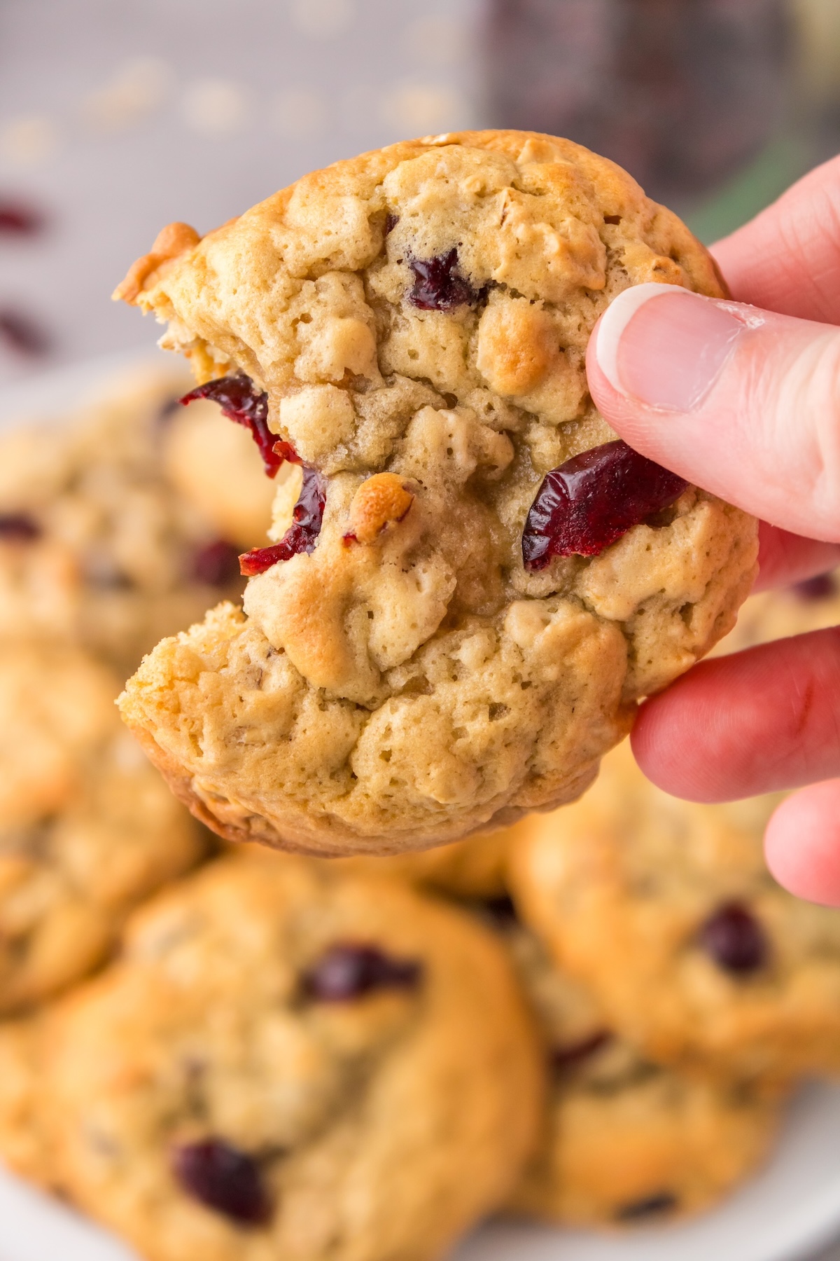cranberry oat cookies