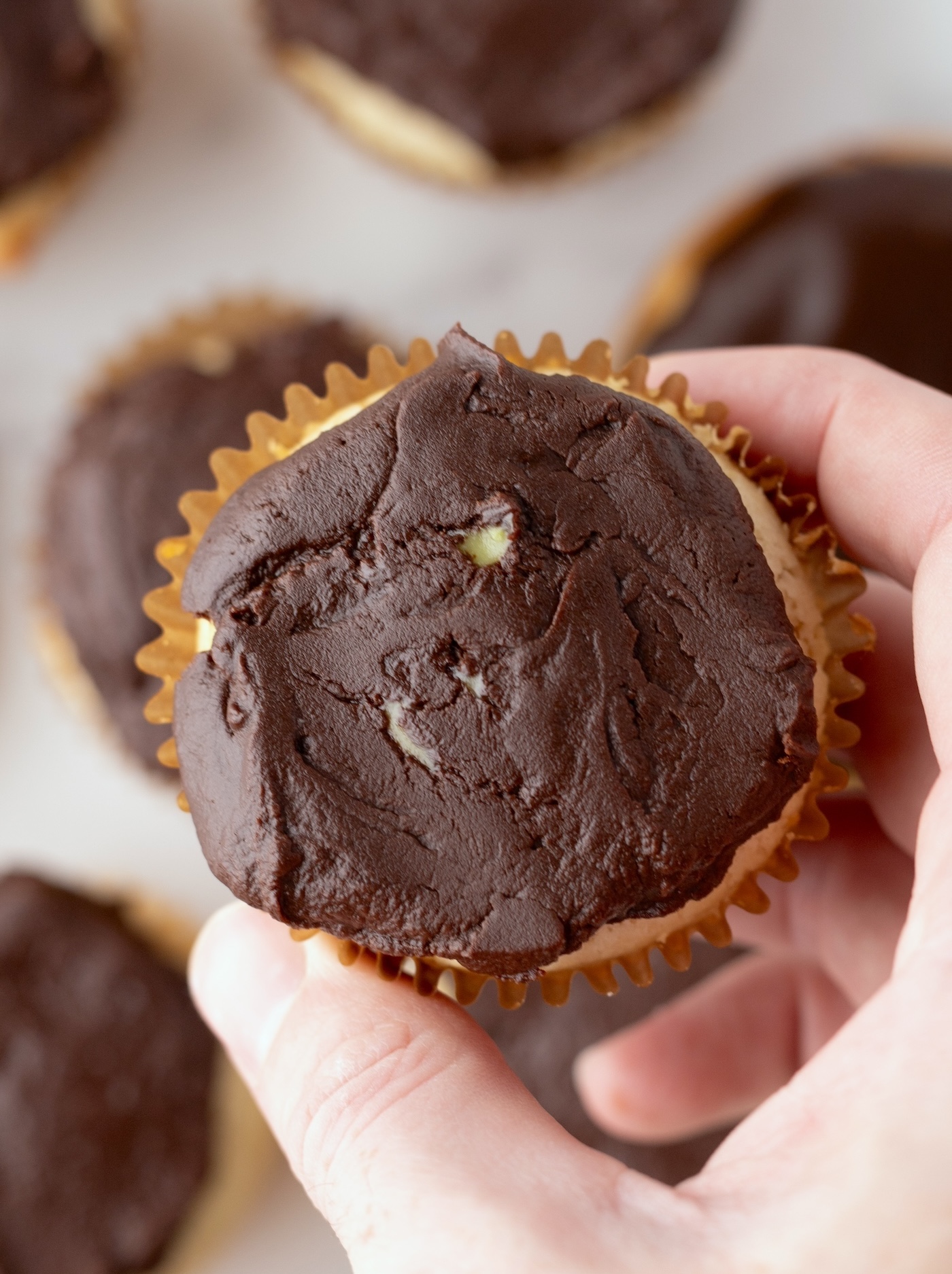 boston cream cup cakes