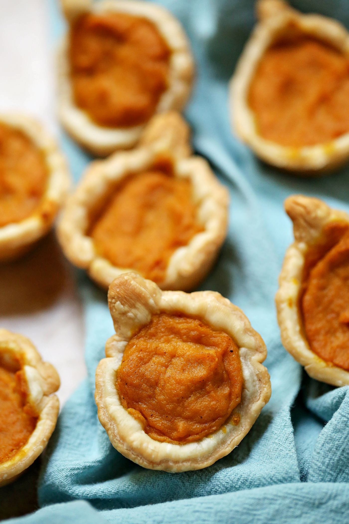 Mini-pumpkin-pies