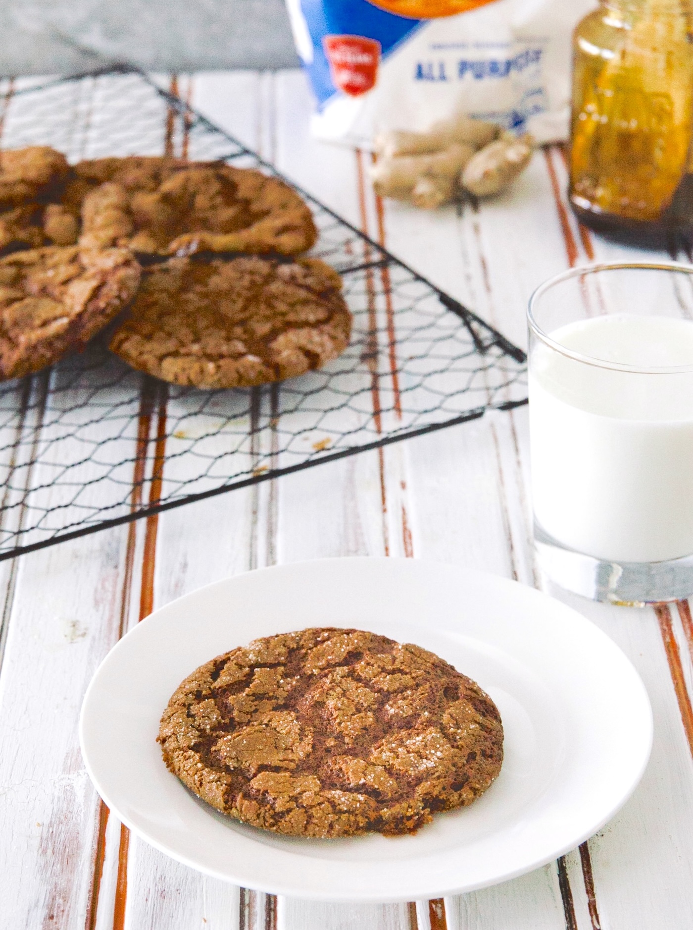 gingerbread cookie recipe