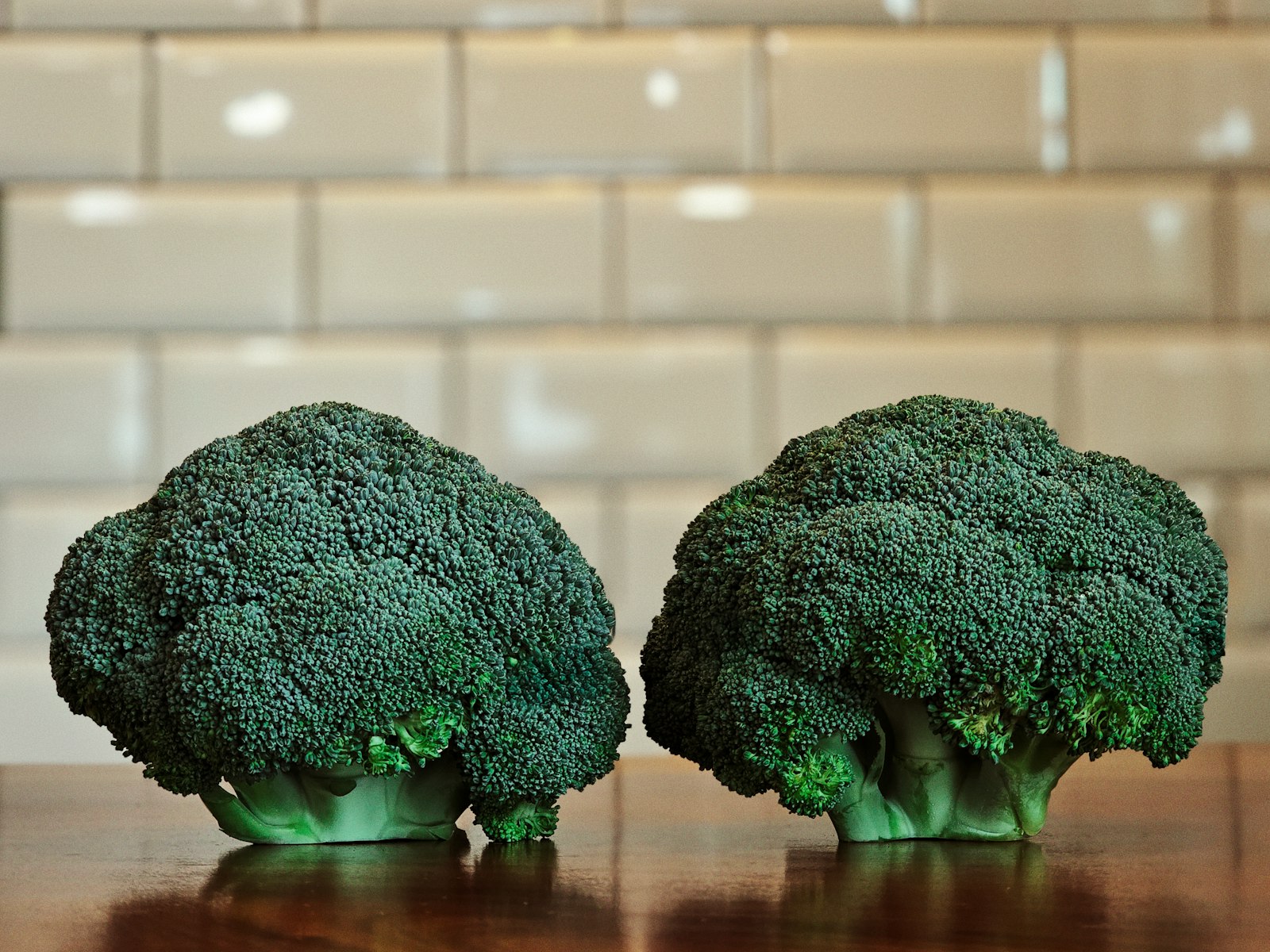 Two heads of fresh broccoli on a table