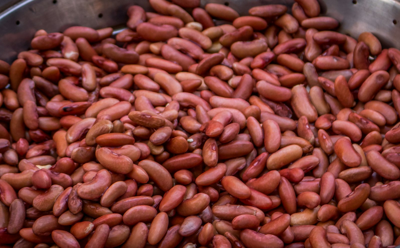 Pile of dried red kidney beans