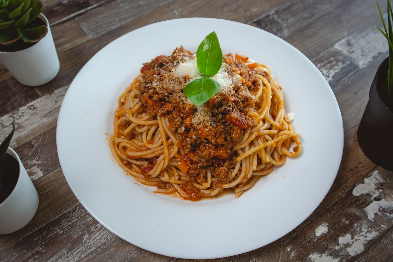 Spaghetti on a white plate