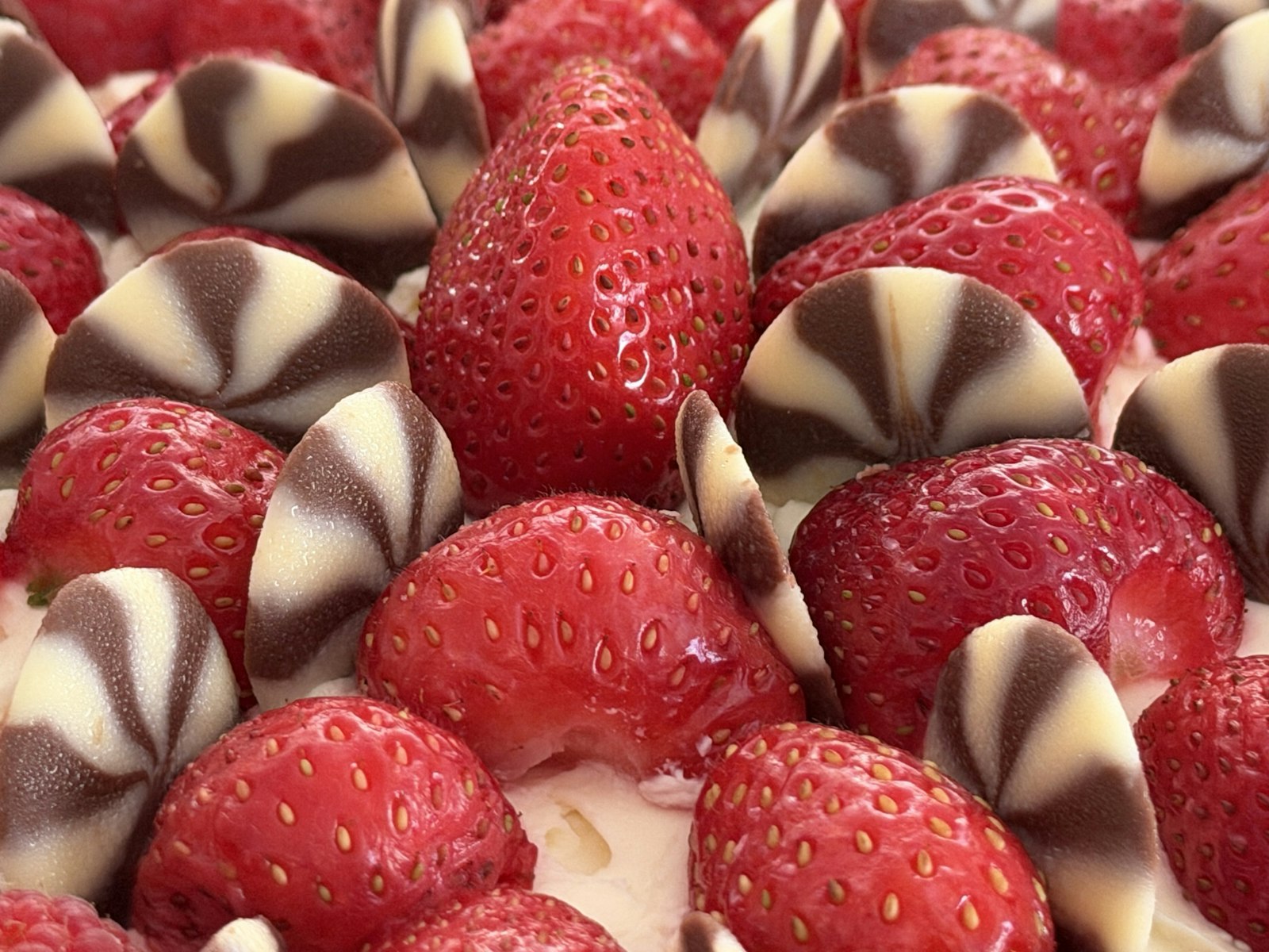 Fresh strawberries with pieces of chocolate