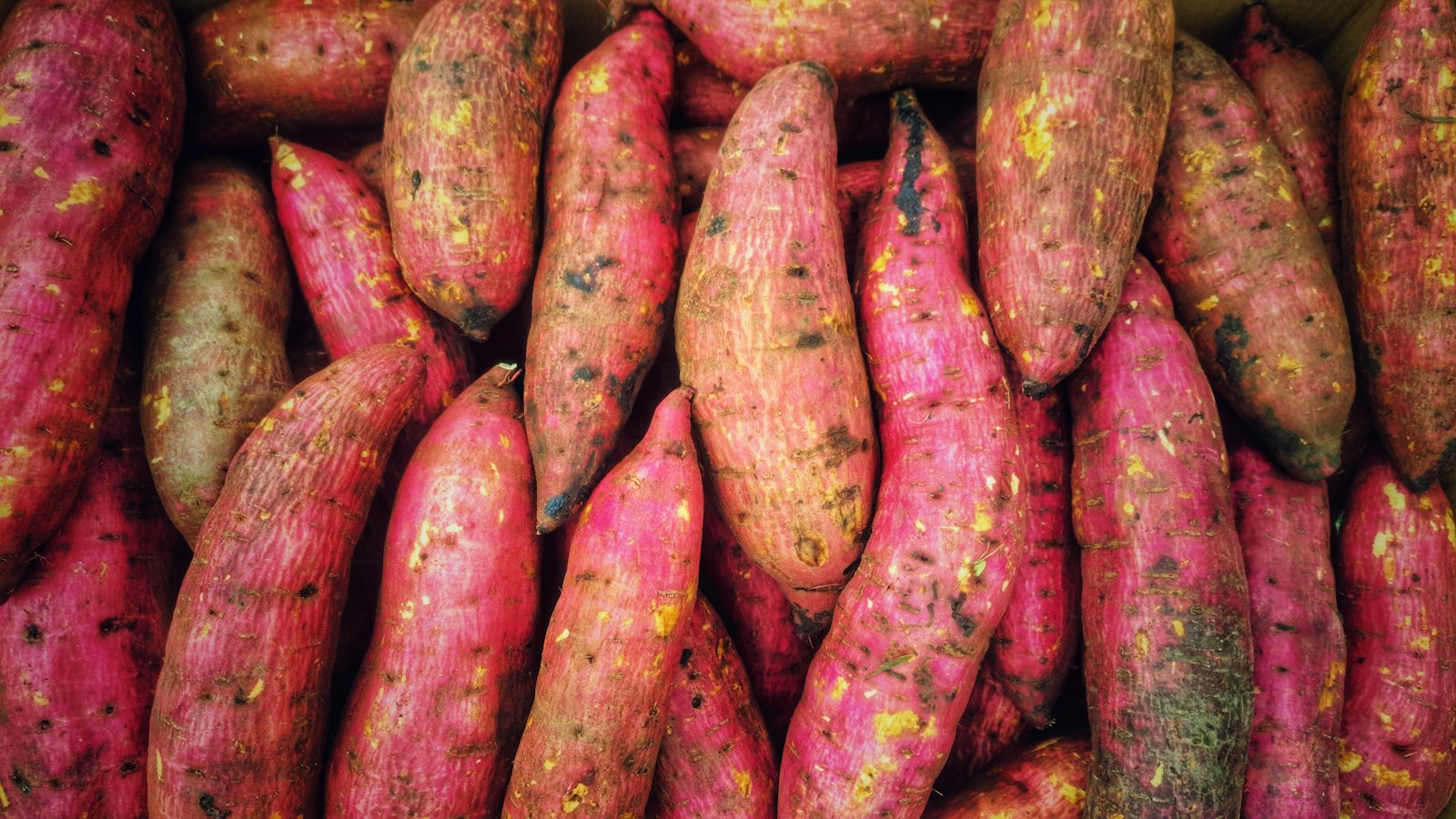 Pile of pink and yellow sweet potatoes