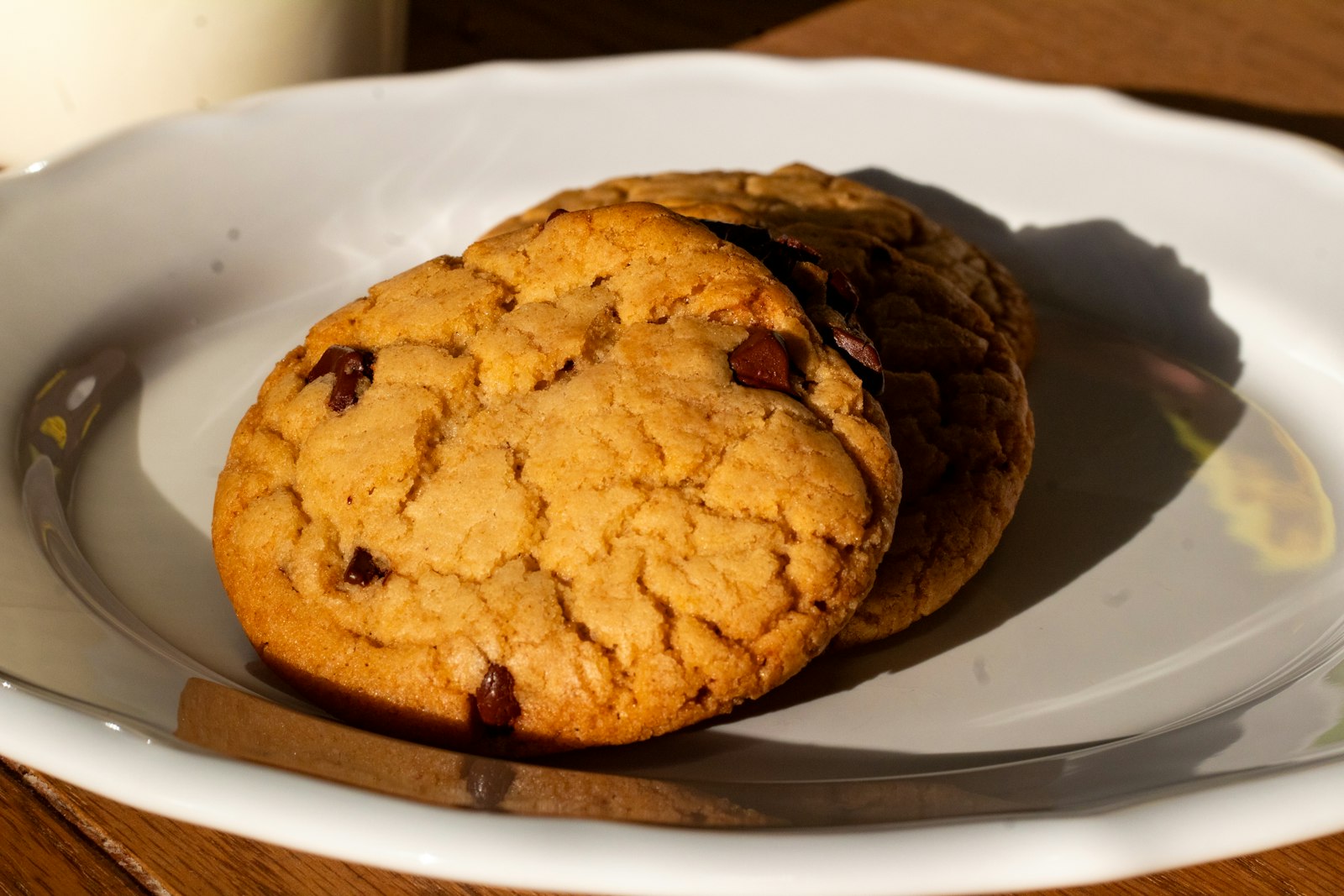 Chewy cookie with dried fruit and white chocolate