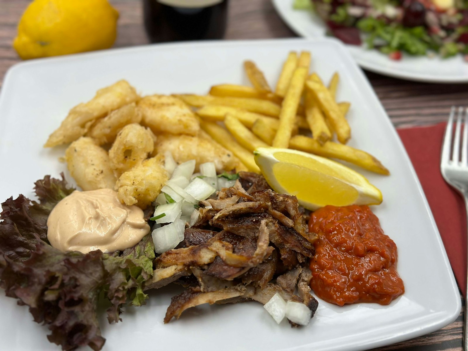 Gyro meat plate with fries, onions and tzatziki