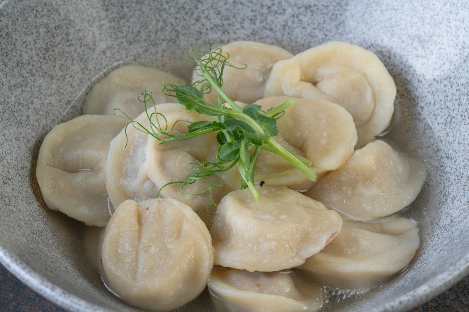 Eastern European pelmeni dumplings with herbs