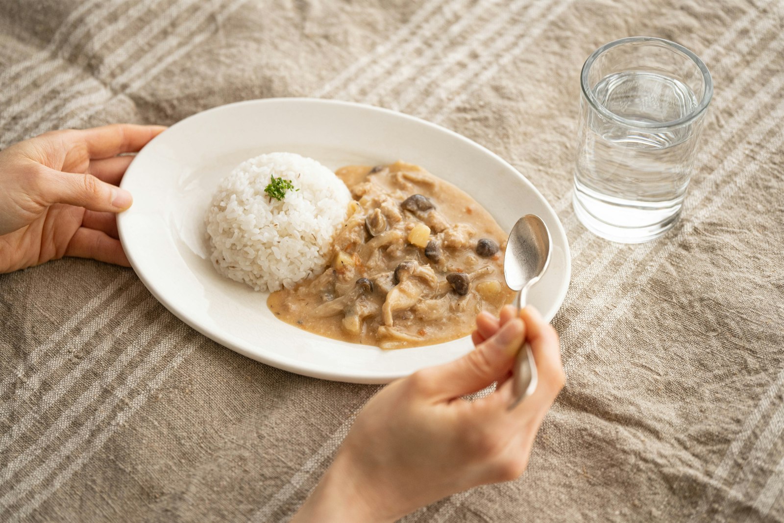 Creamy beef and mushroom stroganoff with rice