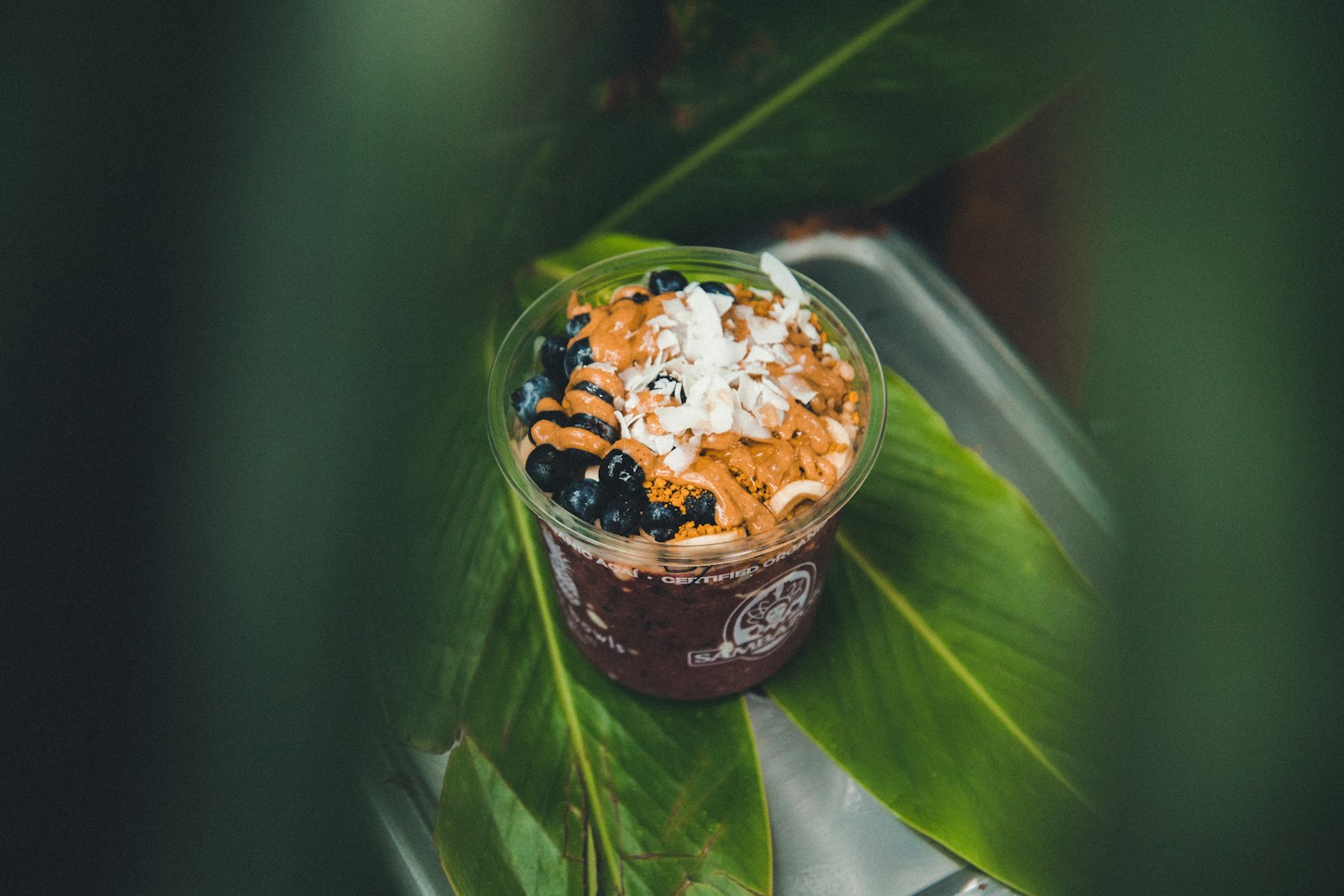 Acai cup to go with blueberries and shredded coconut