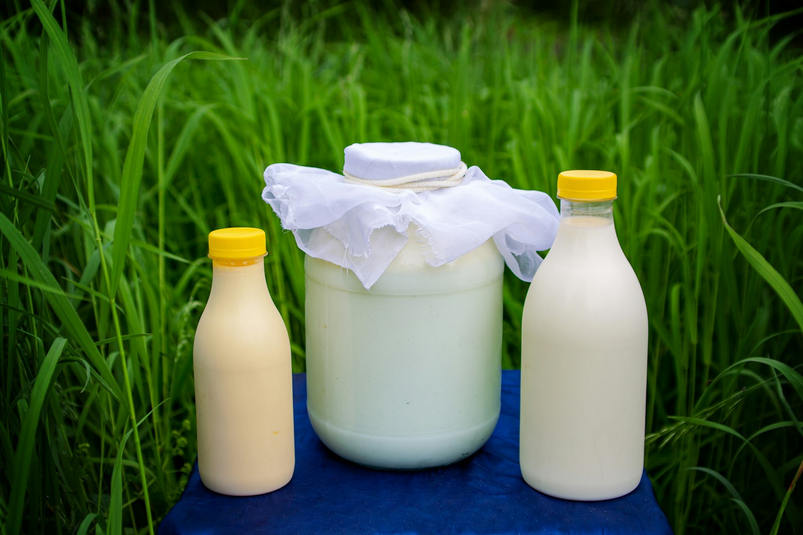 Bottles of homemade kefir on the grass