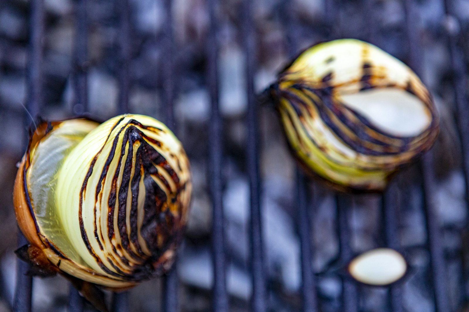 Charred grilled cabbage wedges