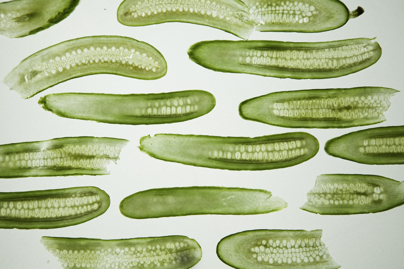 Thin cucumber slices ready for a sweet brine