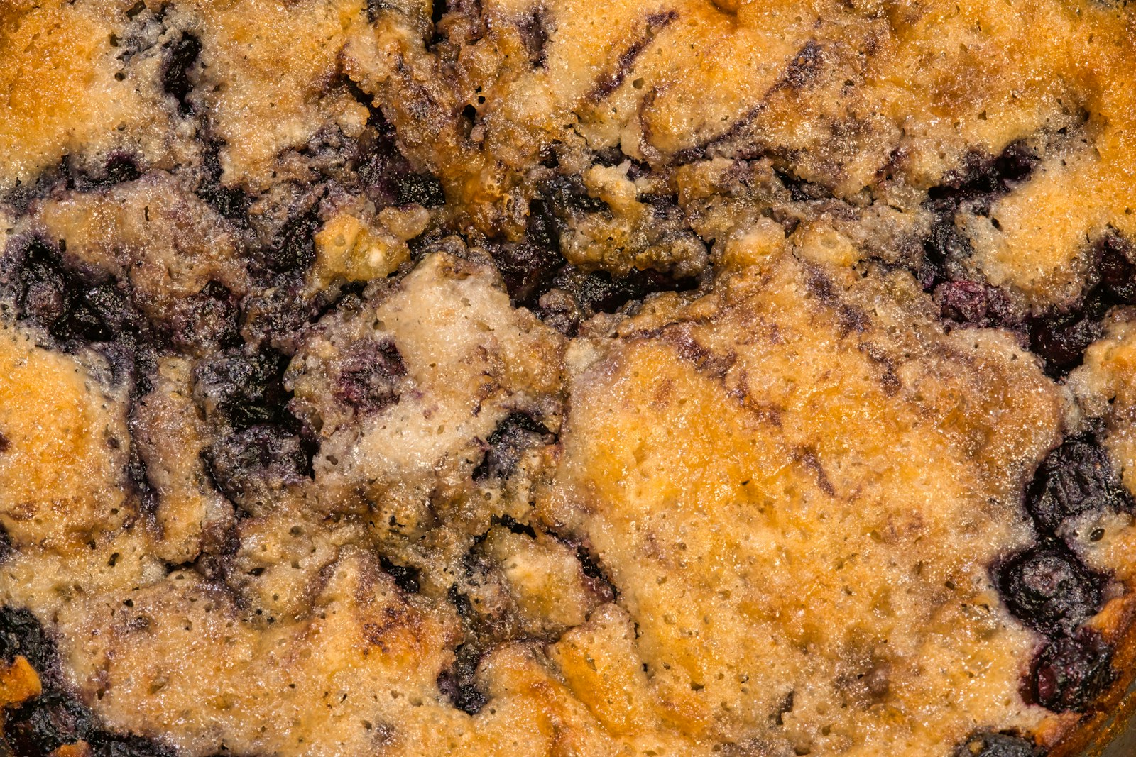 Blueberry crumble bars fresh from the oven