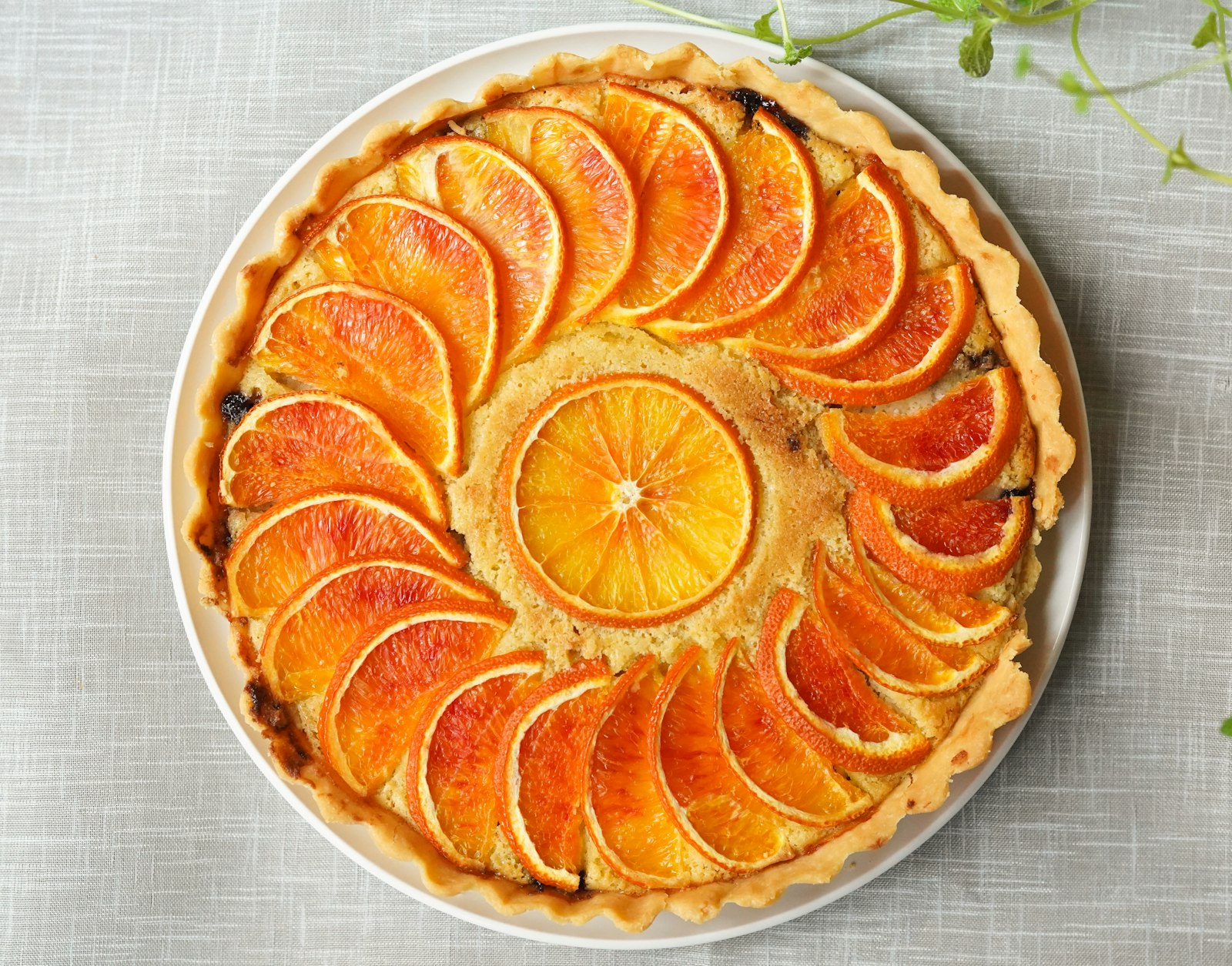 Citrus tart topped with rings of thin orange slices