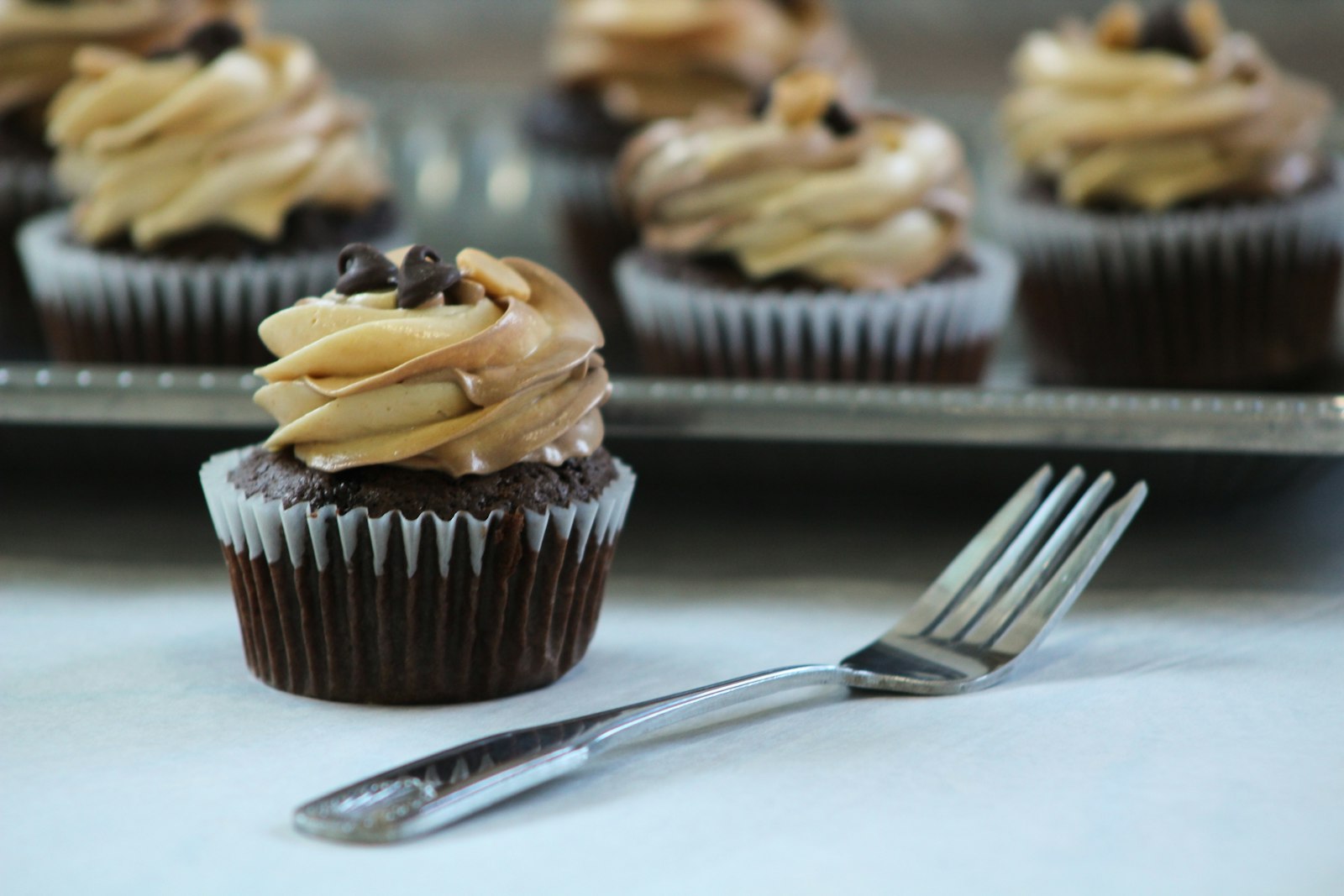 Chocolate peanut butter cake with a fork