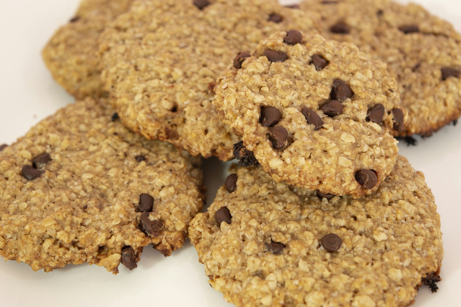 Chewy oat cookies with chocolate chips
