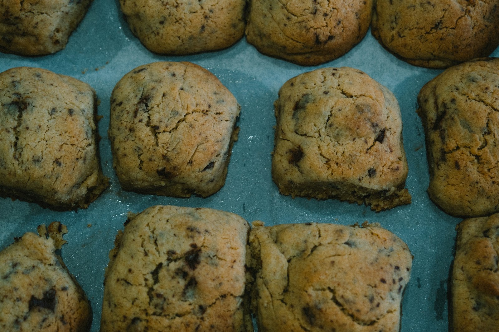 Square oat and cranberry bakes on a tray