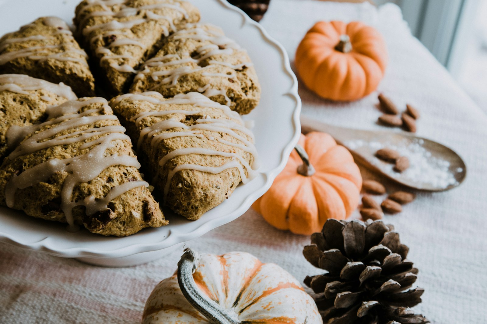 Pumpkin scone recipes next to small orange pumpkins