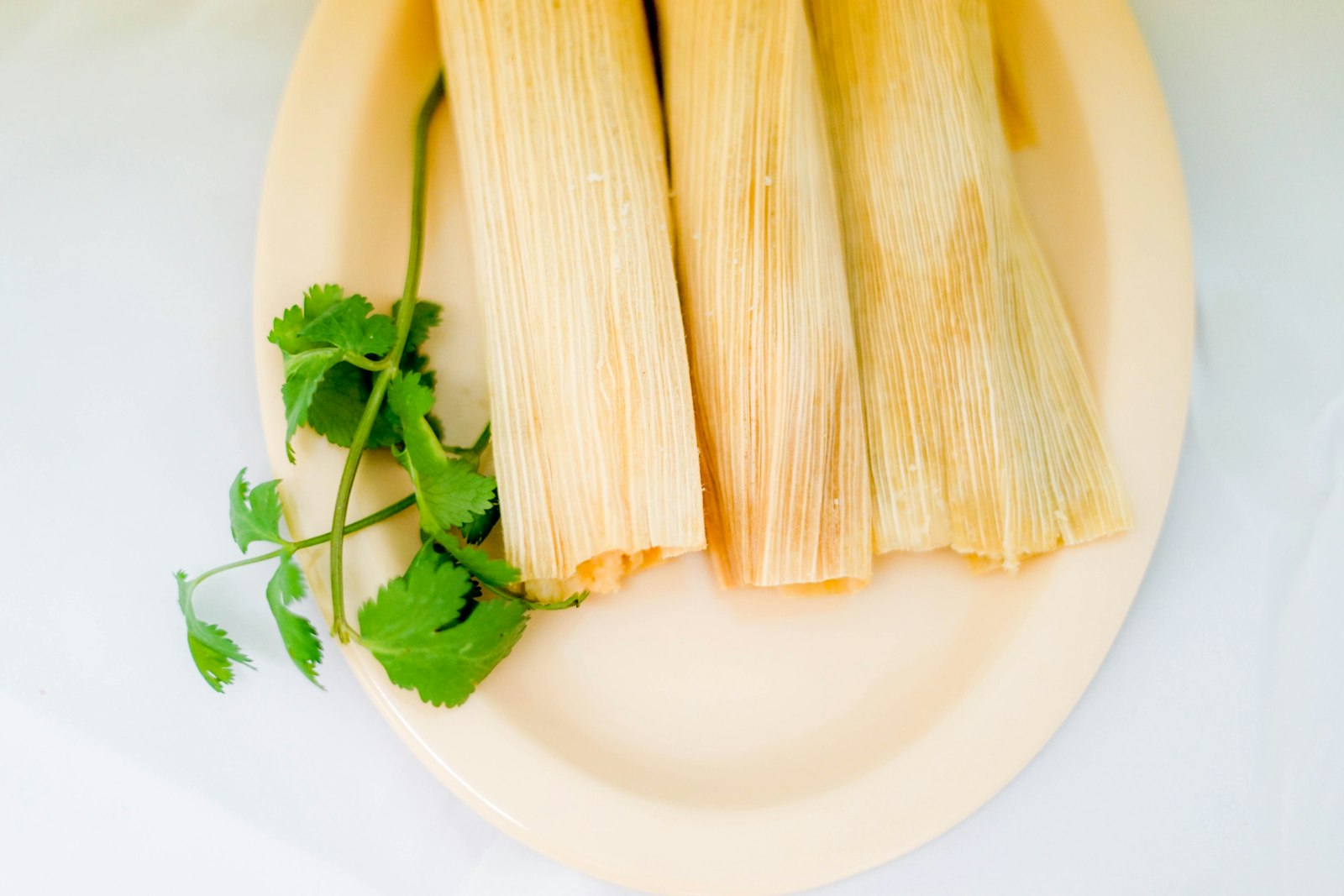 Tamales in corn husks on a white plate