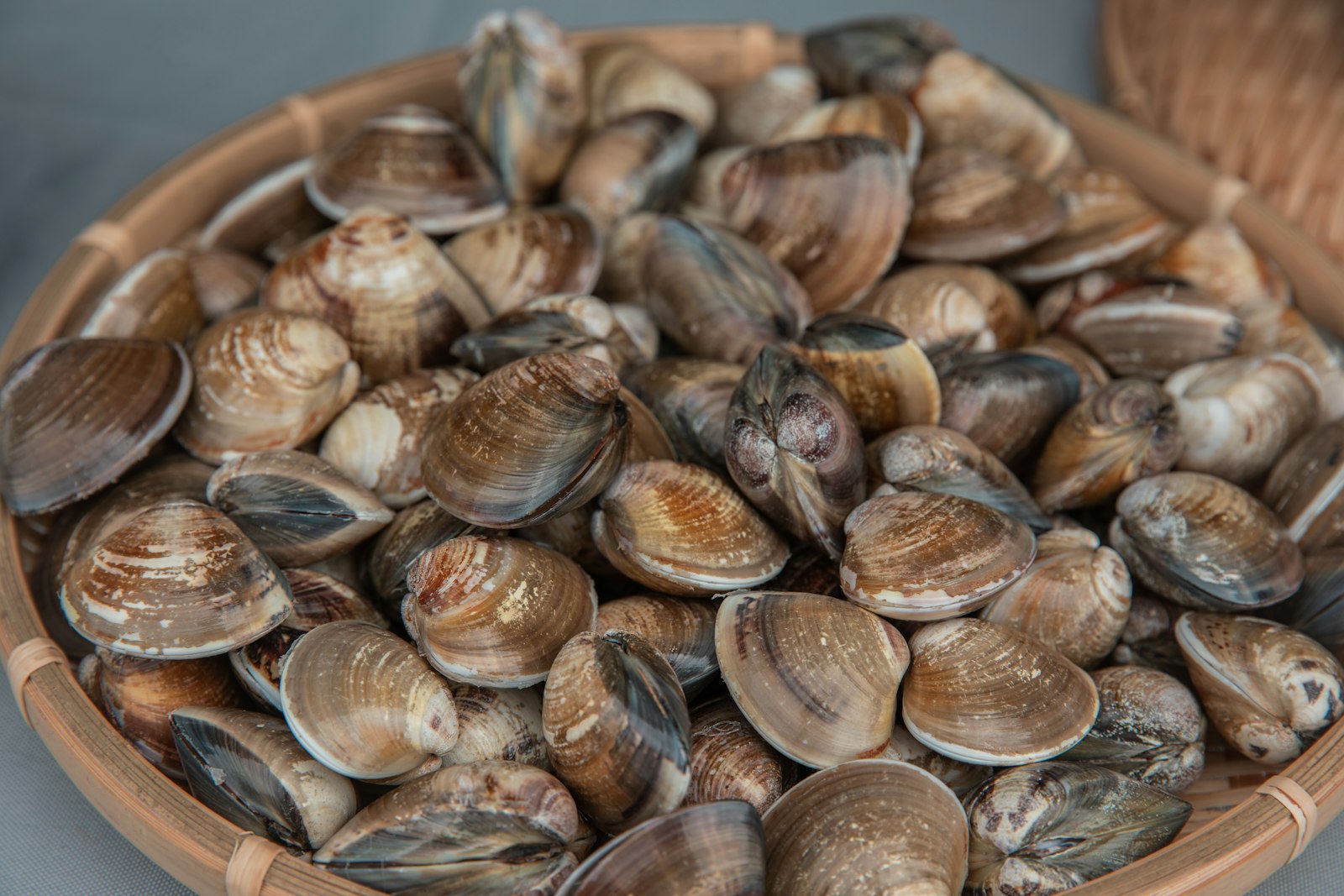 a bowl of steamed soft shell clams