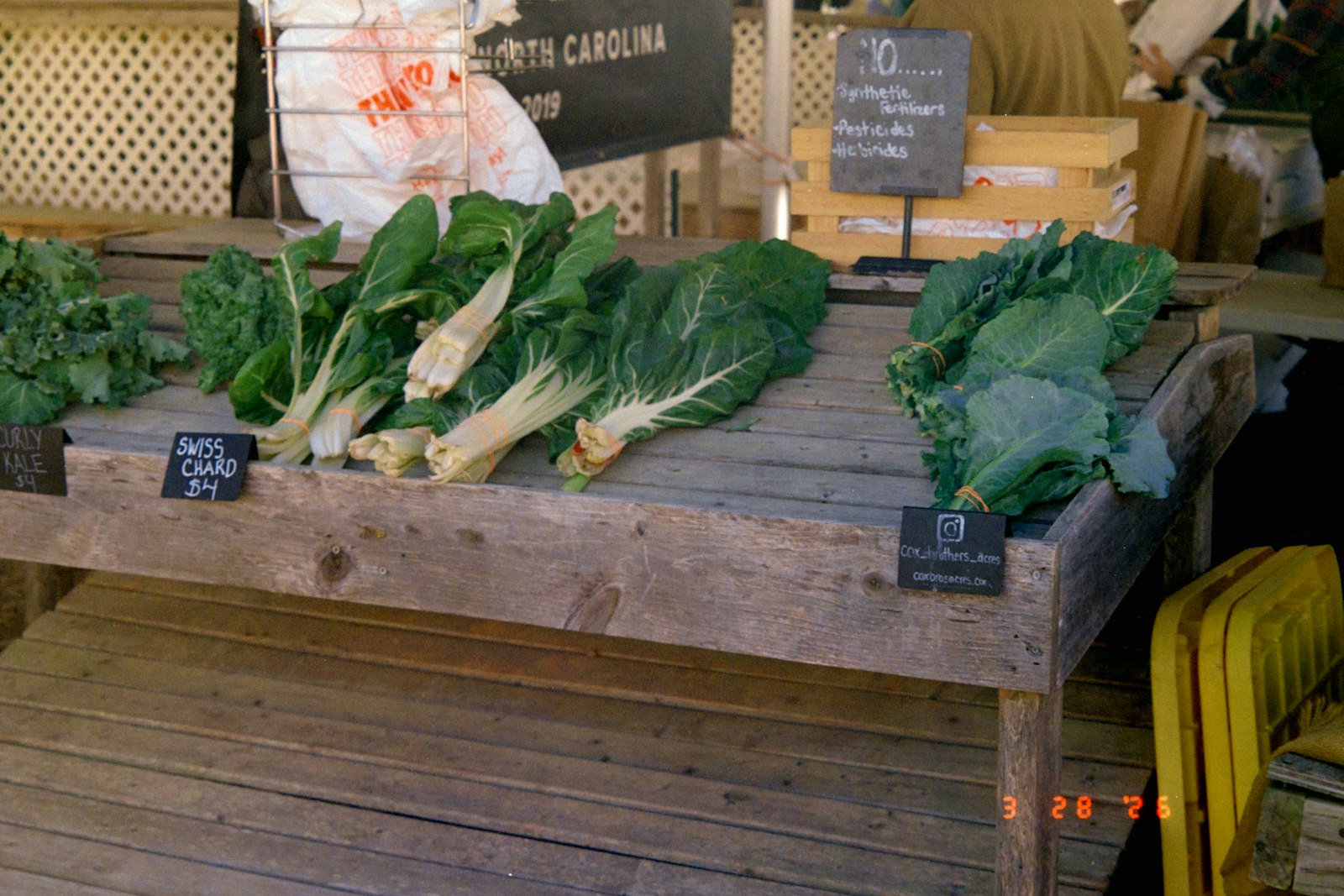fresh collard greens for a soul food dinner