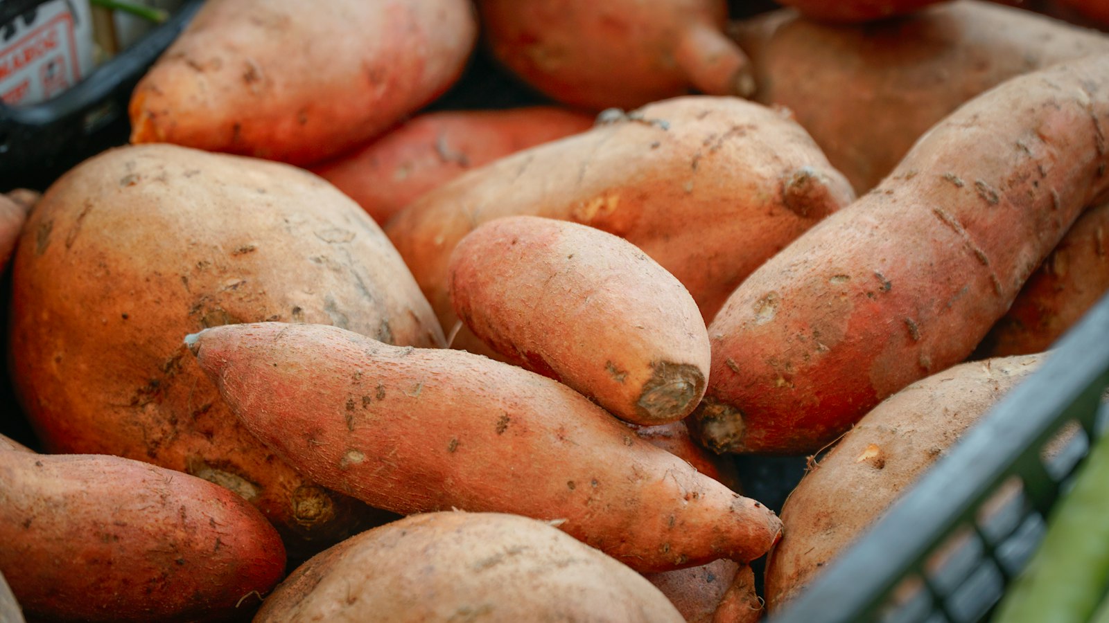 a basket of fresh sweet potatoes
