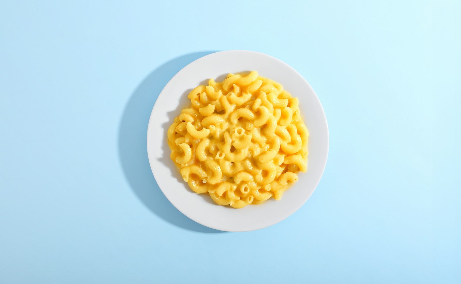 Slow cooker dinners: plate of creamy macaroni and cheese on a light blue background
