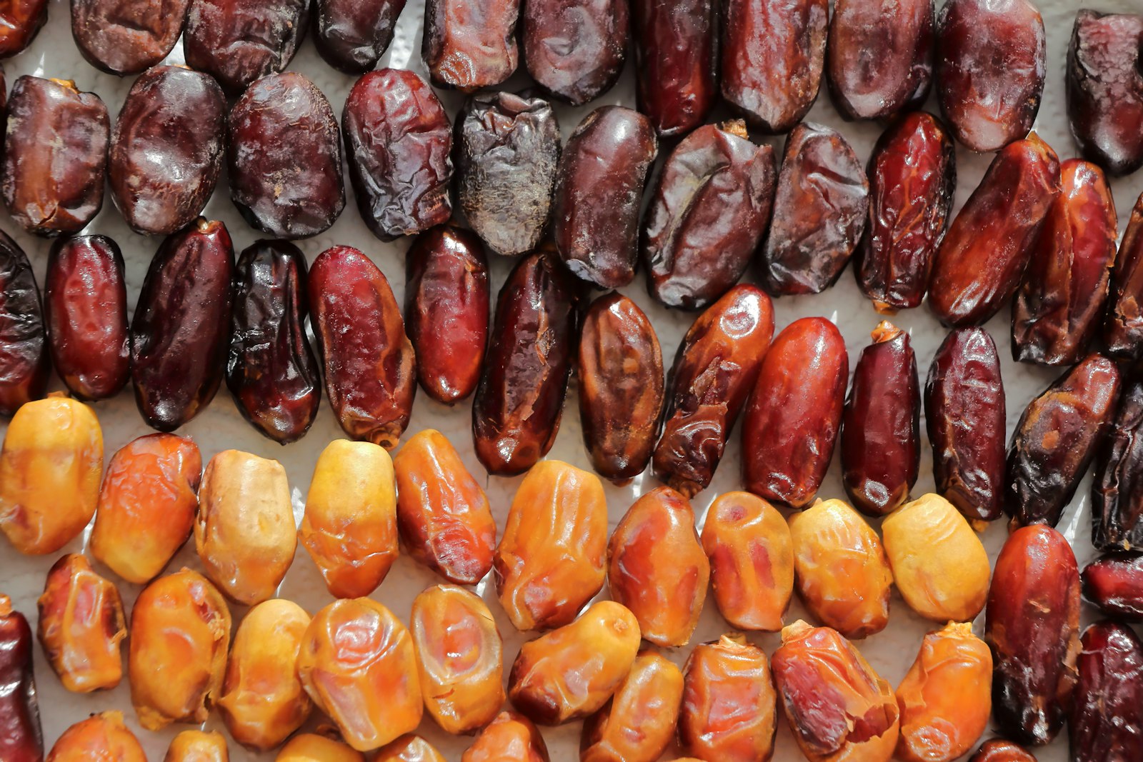 Rows of sweet Medjool dates