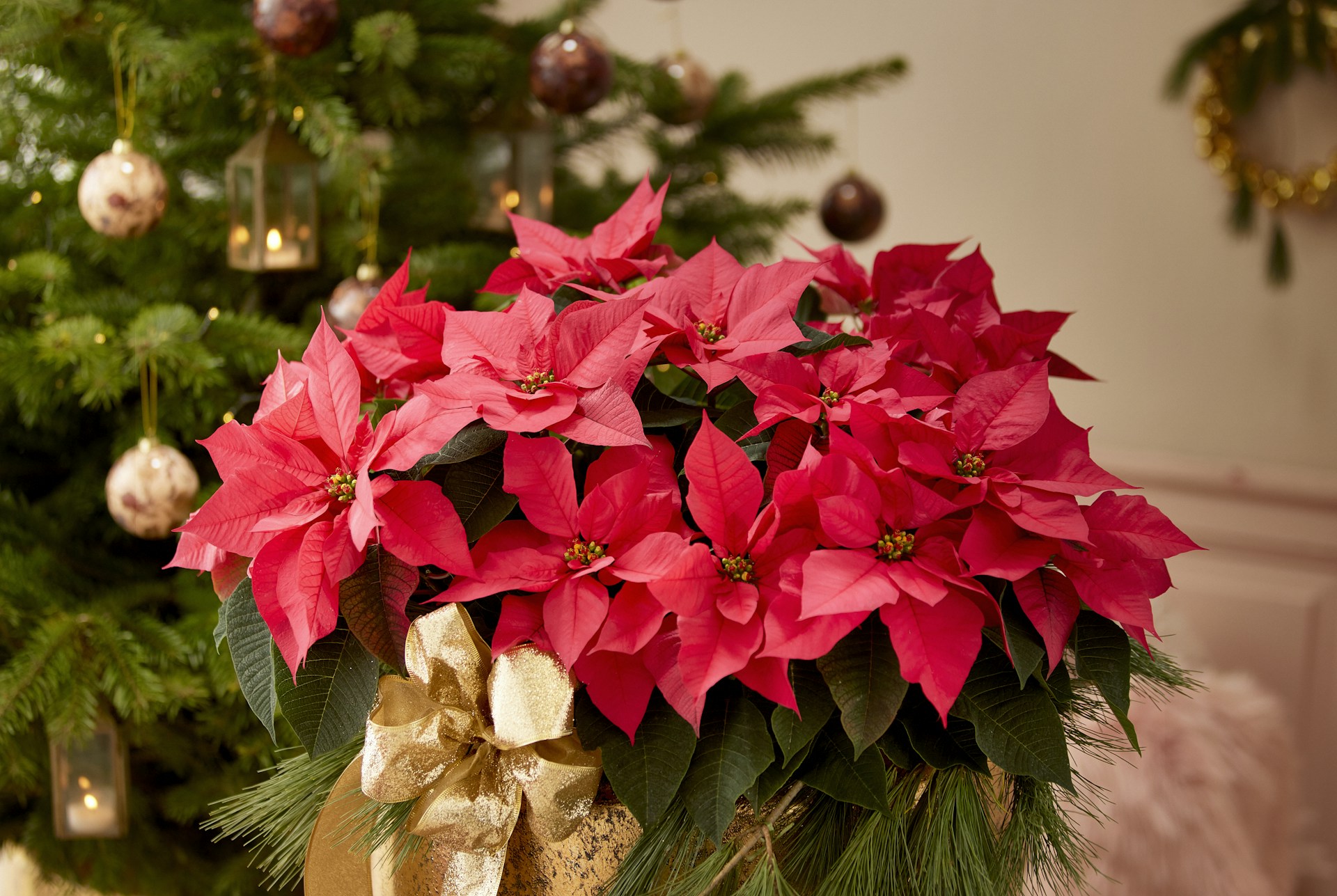 Christmas Bar Cart Ideas finished with a red poinsettia plant tied with a gold ribbon by a tree