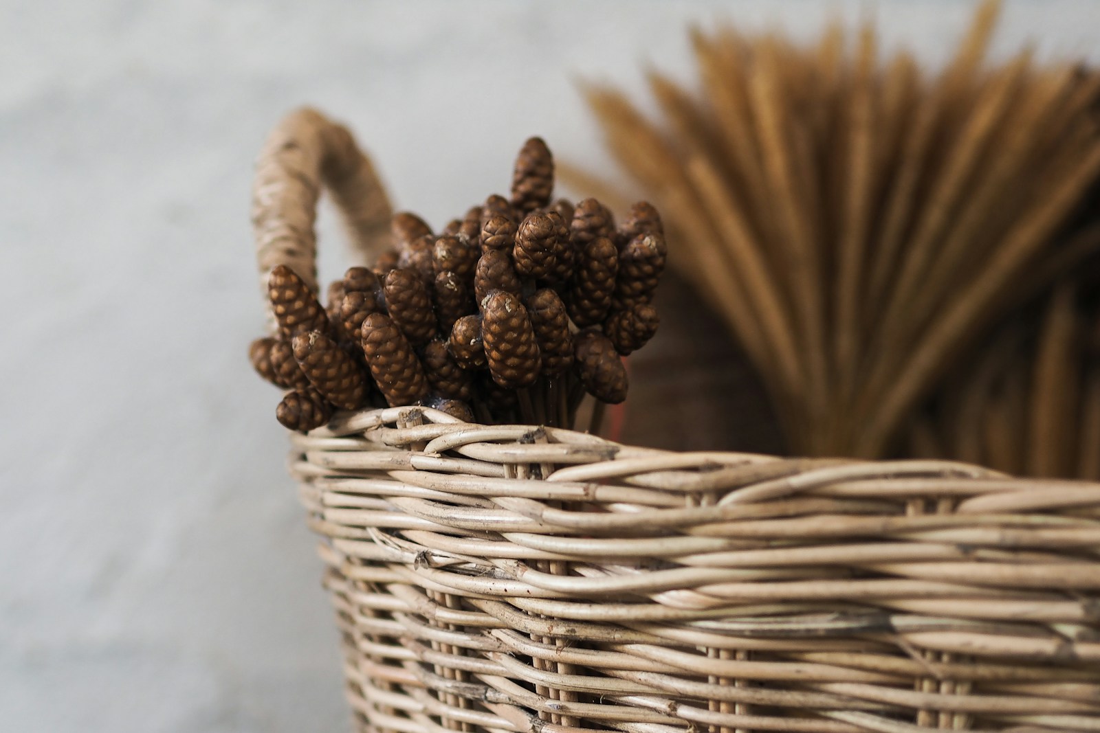 Pine cones piled in a wicker bread hamper