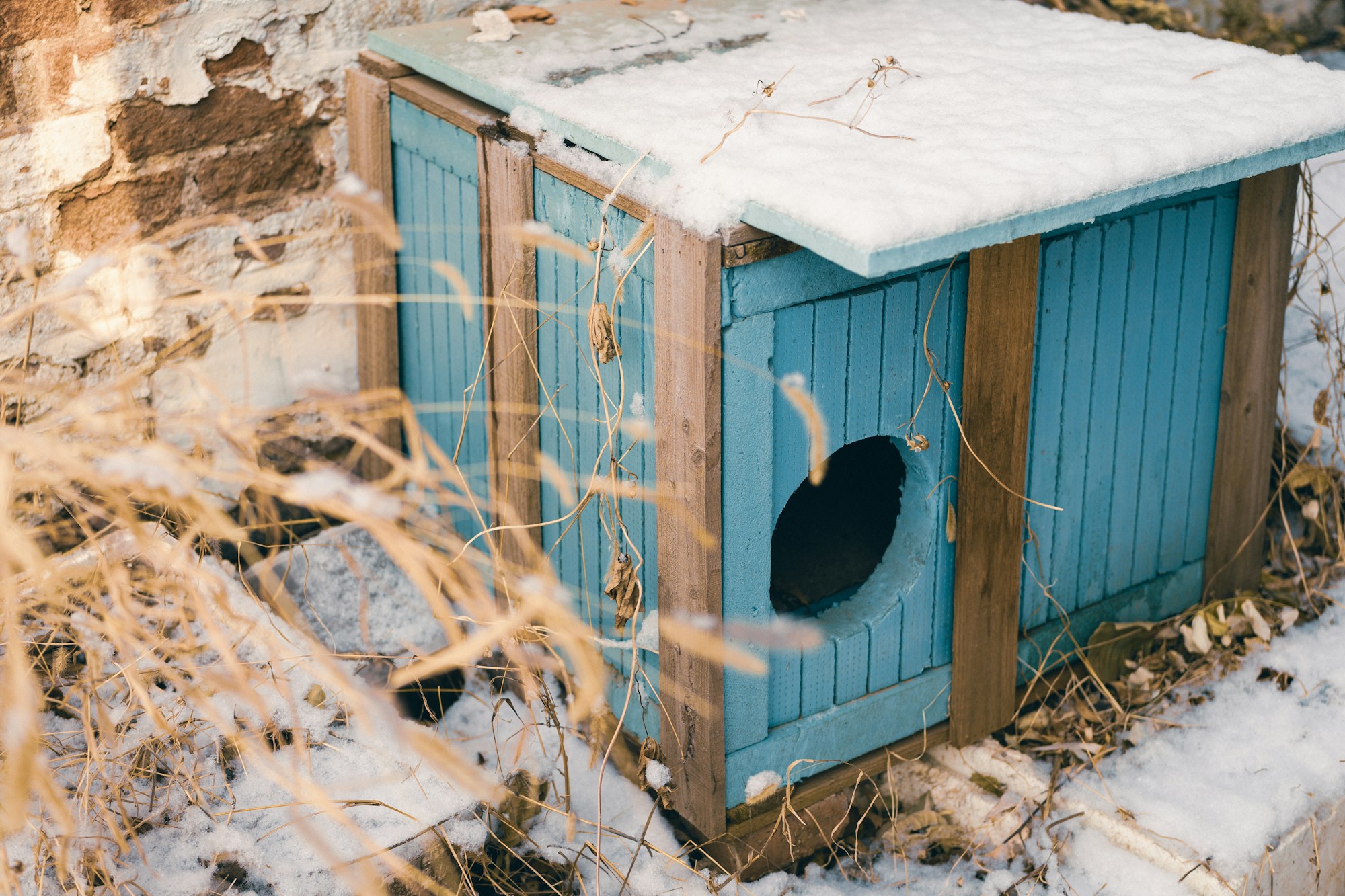 Blue wooden pet house with a sloped roof covered in snow