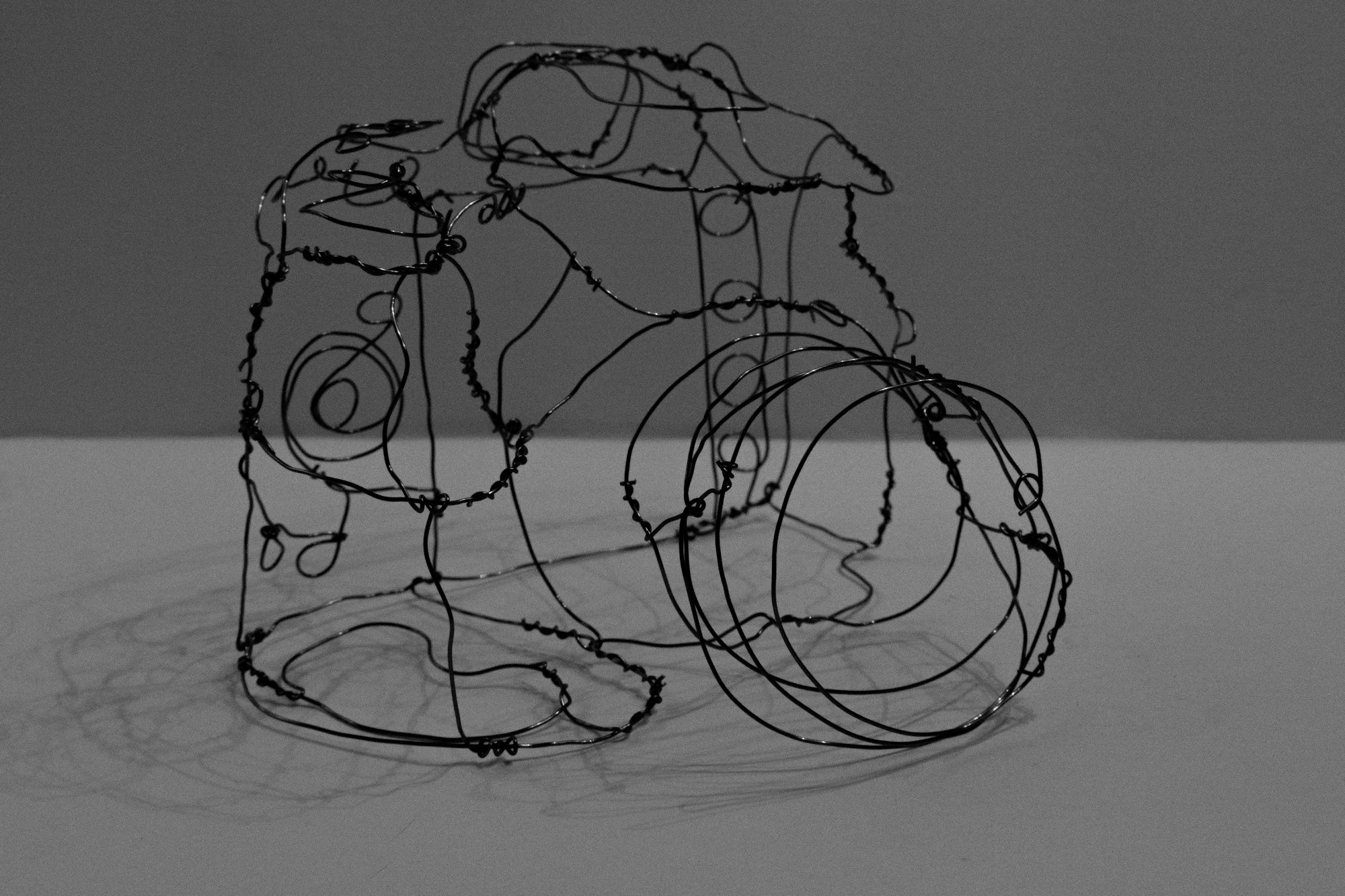 A wire sculpture of a camera drawn with black wire on a table