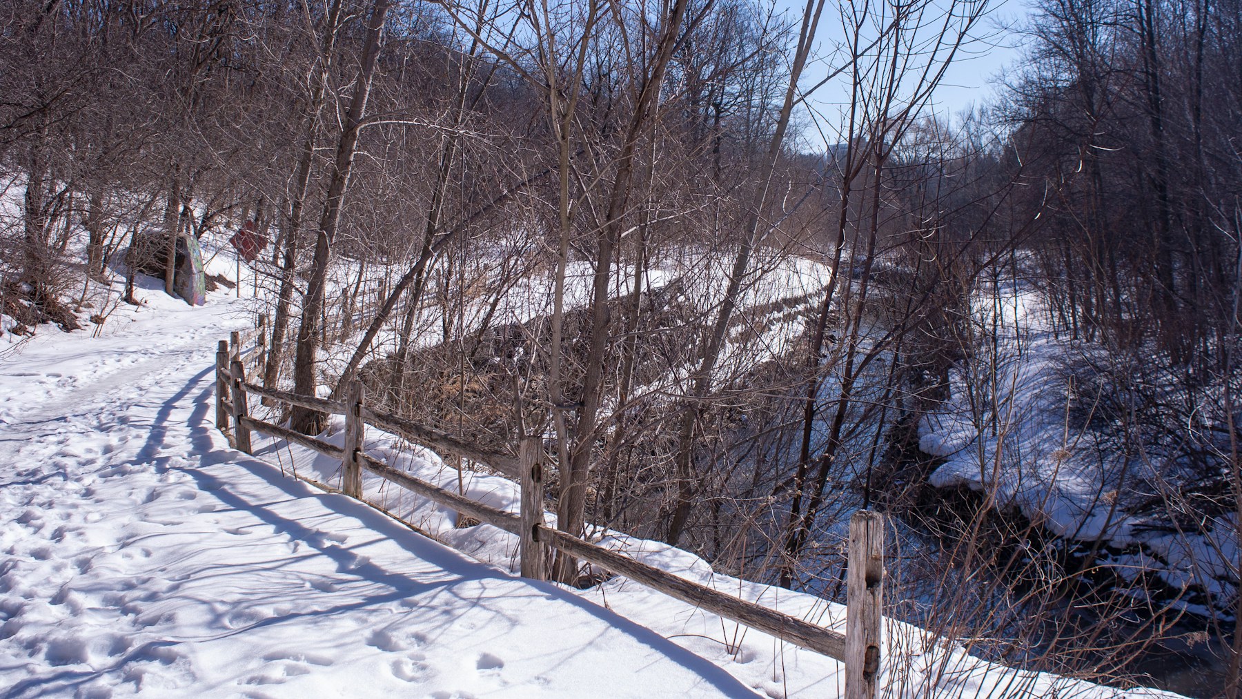 Snowy path beside a wooden fence and bare trees