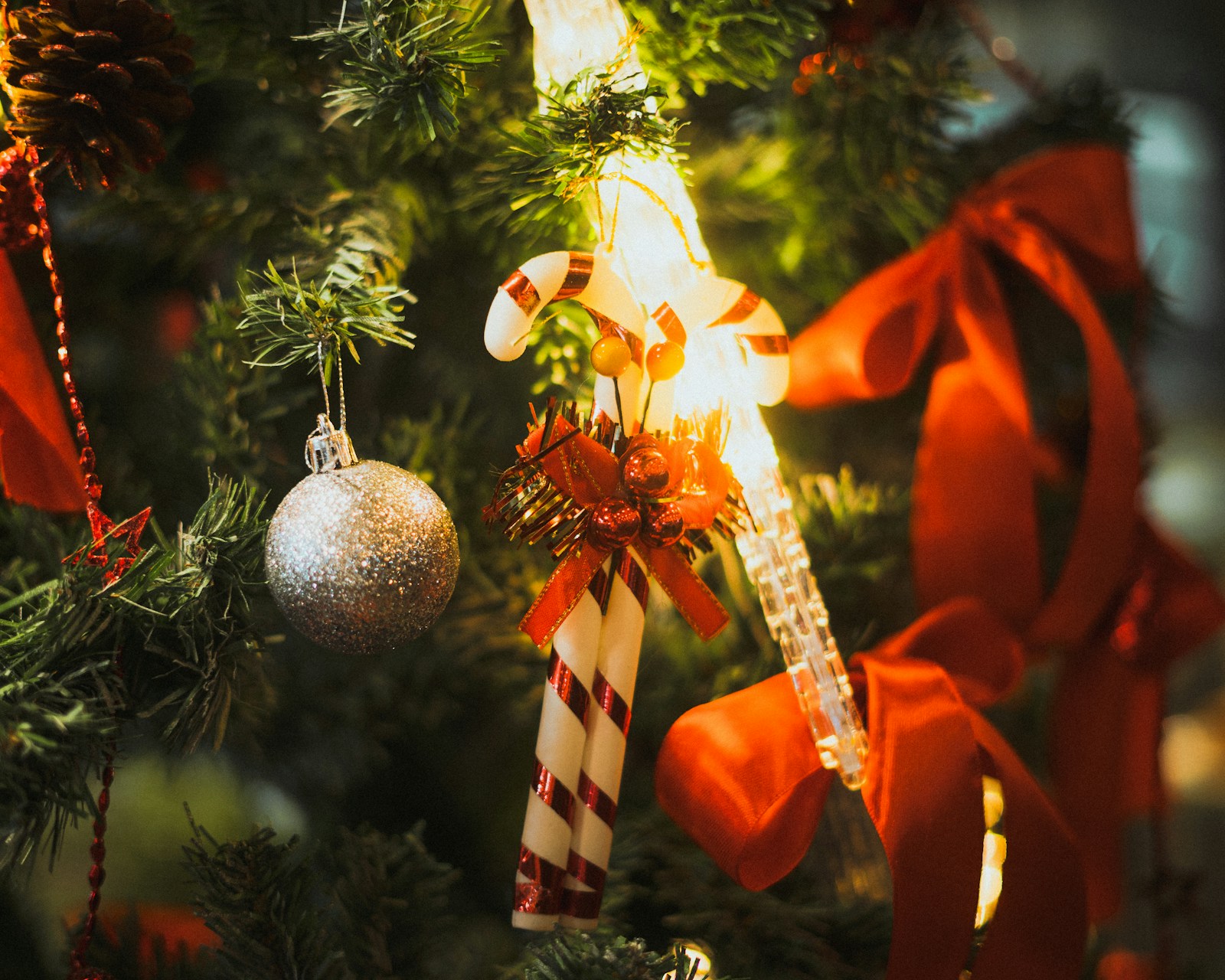 Candy canes and red bows on a Christmas tree