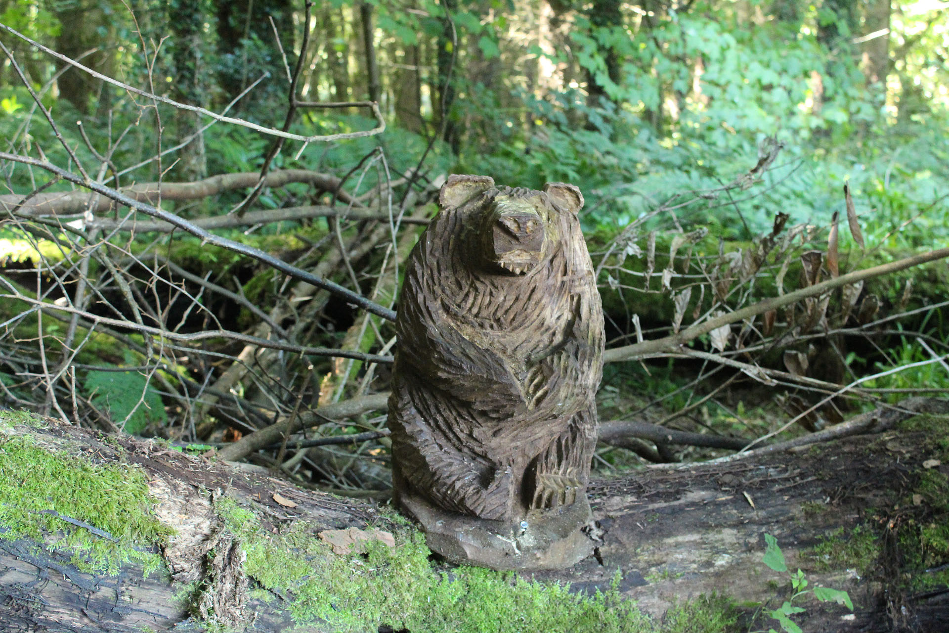 Carved wooden bear with textured fur standing in a garden