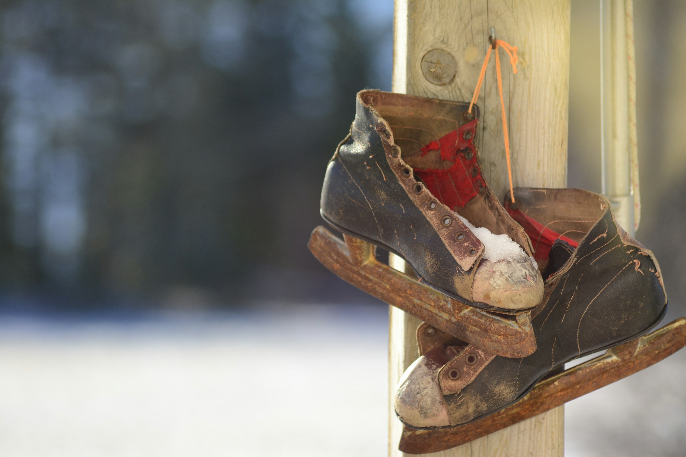 Pair of vintage ice skates hanging on a wooden post
