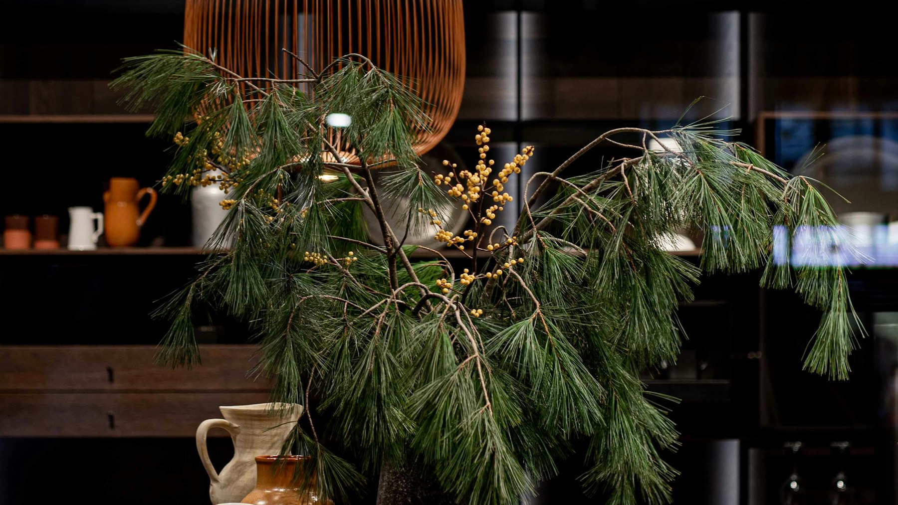 Tiny pine tree in a ceramic pot for the kitchen island