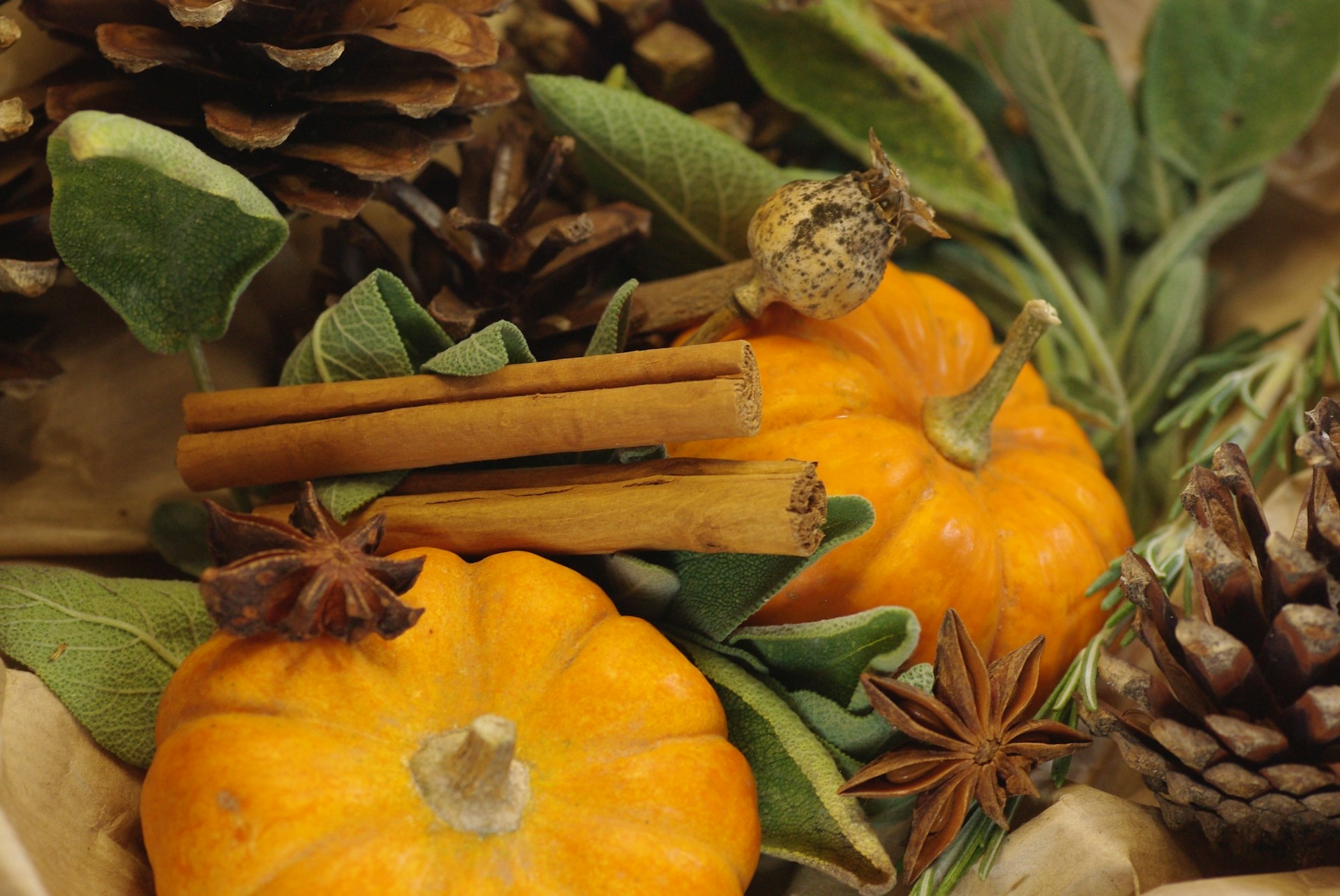 Cinnamon sticks, star anise and pine cones in a cozy cluster