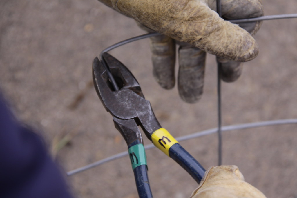 Gloved hands trimming tomato cage wire with pliers