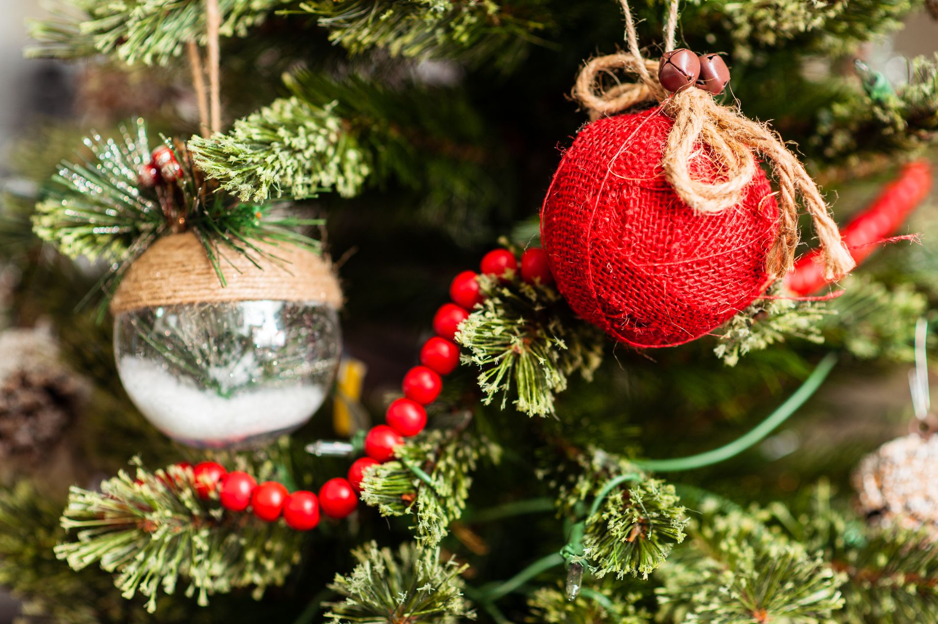 Gold jingle bells tied with a yellow bow on a Christmas tree branch