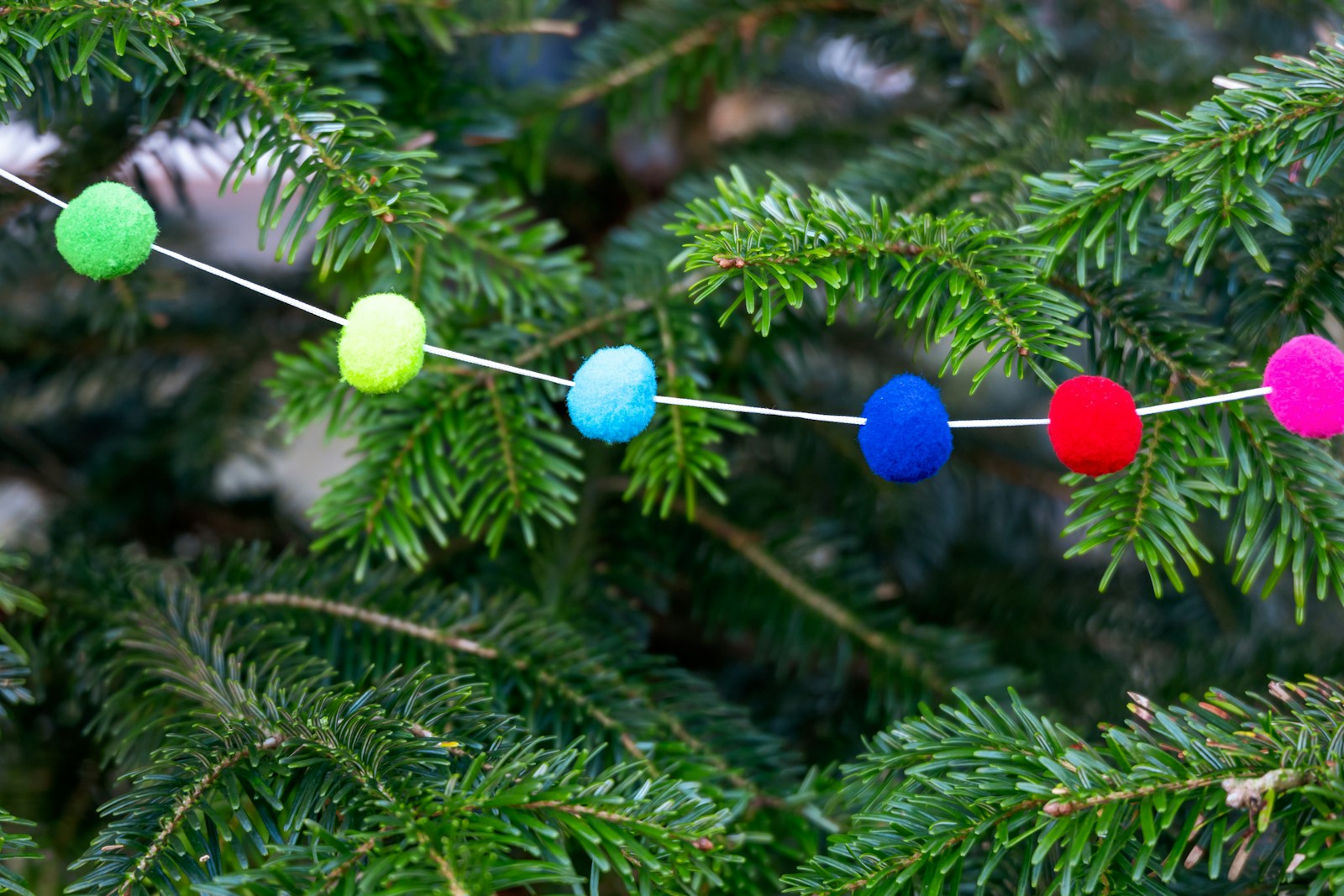 Colorful wool pom pom garland draped on a Christmas tree
