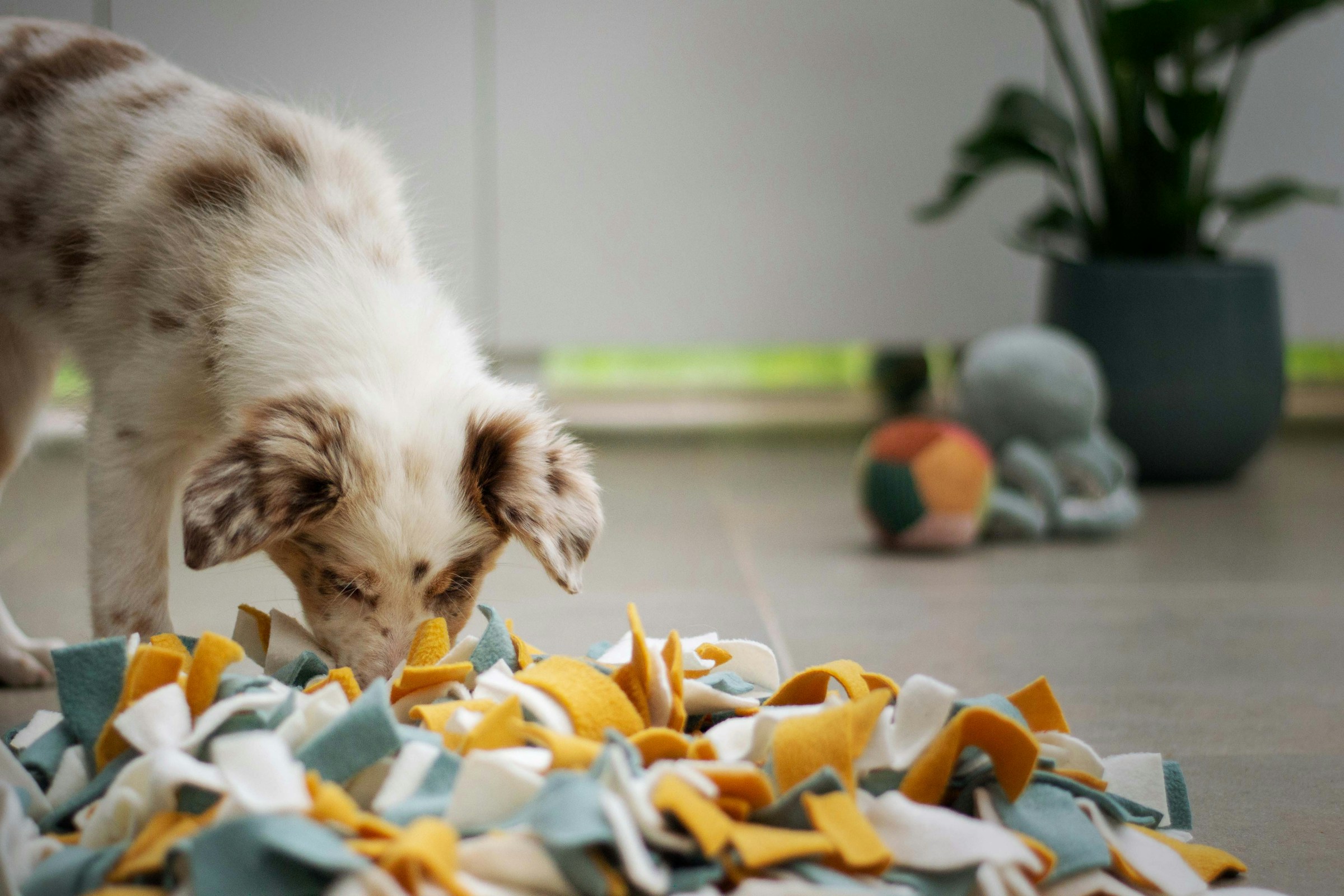 Puppy playing happily in a pile of shredded paper