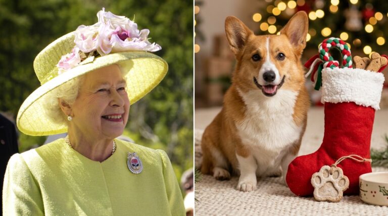 Dog Lover Christmas Gifts: 14 Handmade Ideas Inspired by the Queen Who Filled Stockings for Her Corgis