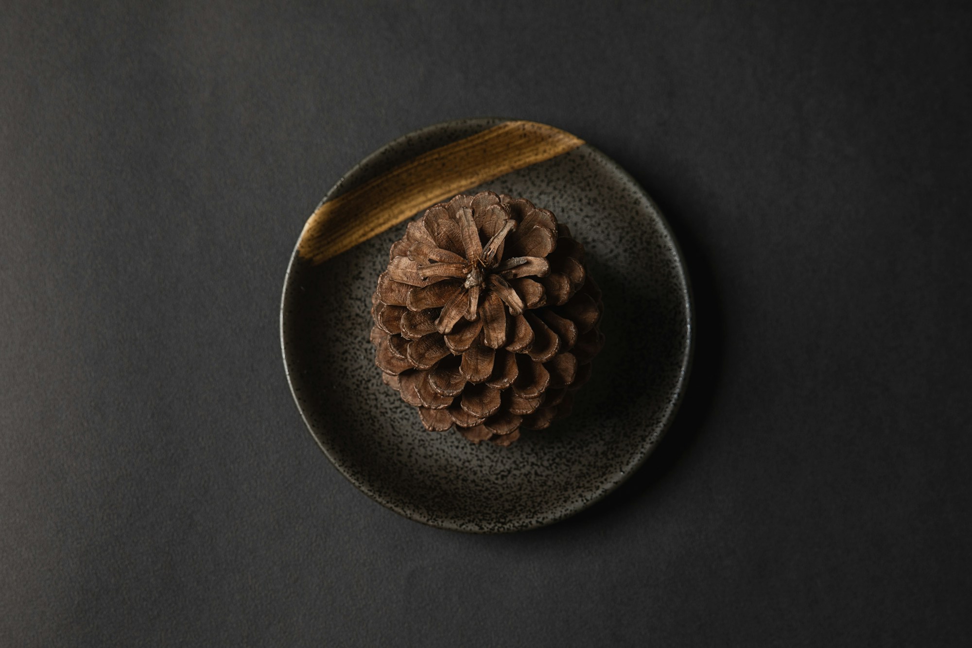 A pine cone resting on a dark dinner plate as a simple Christmas place setting