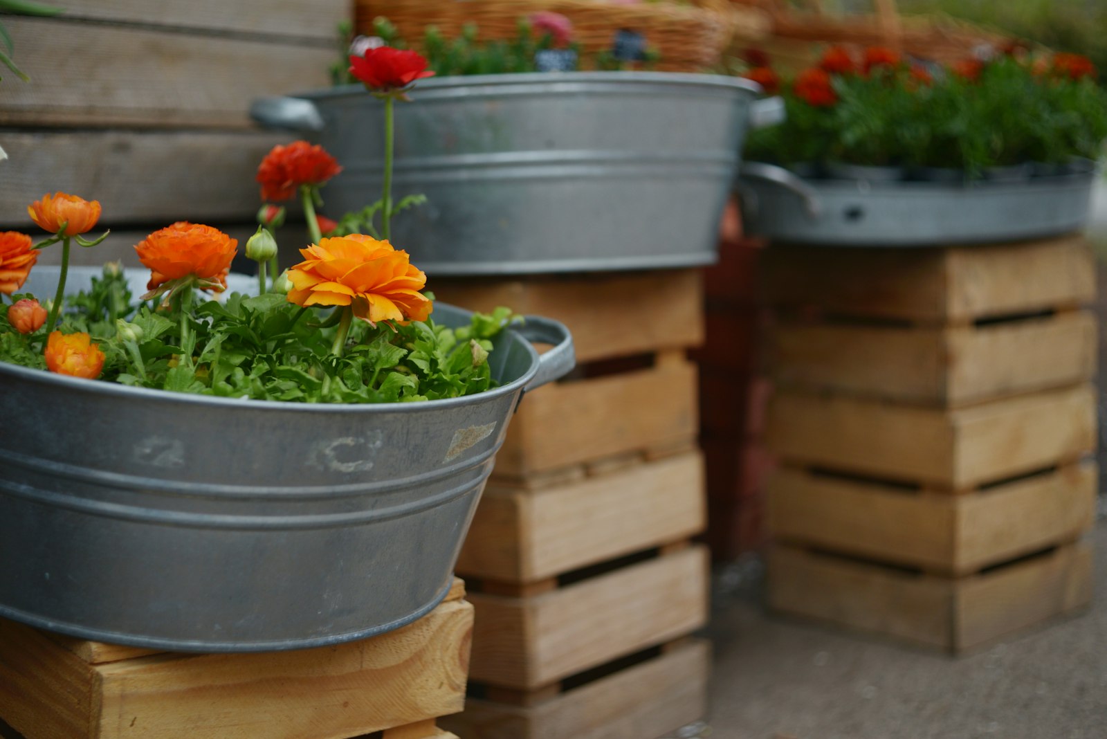 Galvanized tubs filled with bright flowers set on stacked wooden crates